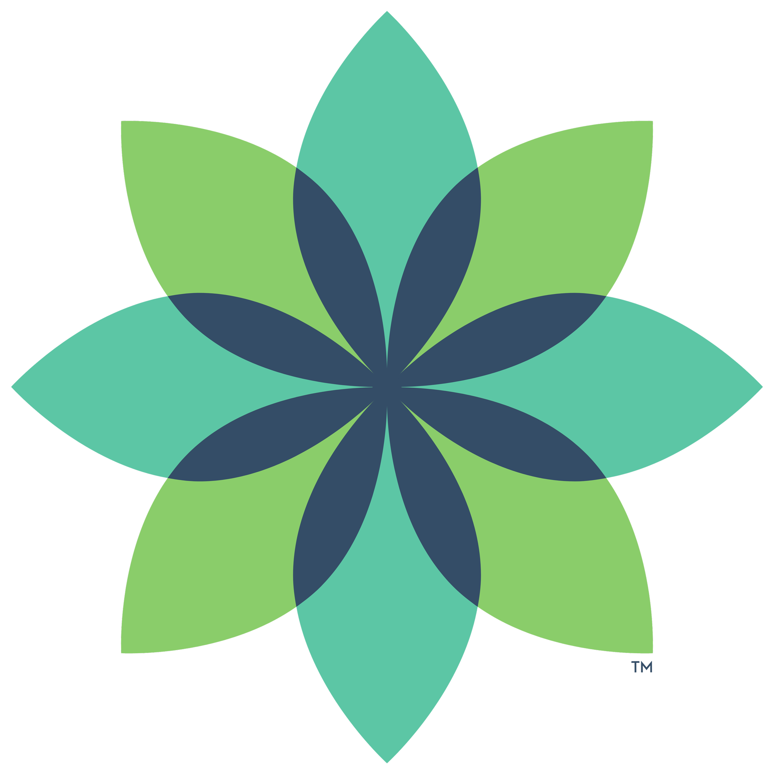 Jeannie Corsini LLC logo - a bloom graphic with teal, green, and navy petals