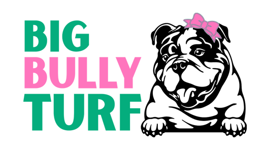 big-bully-turf-logo.png.webp
