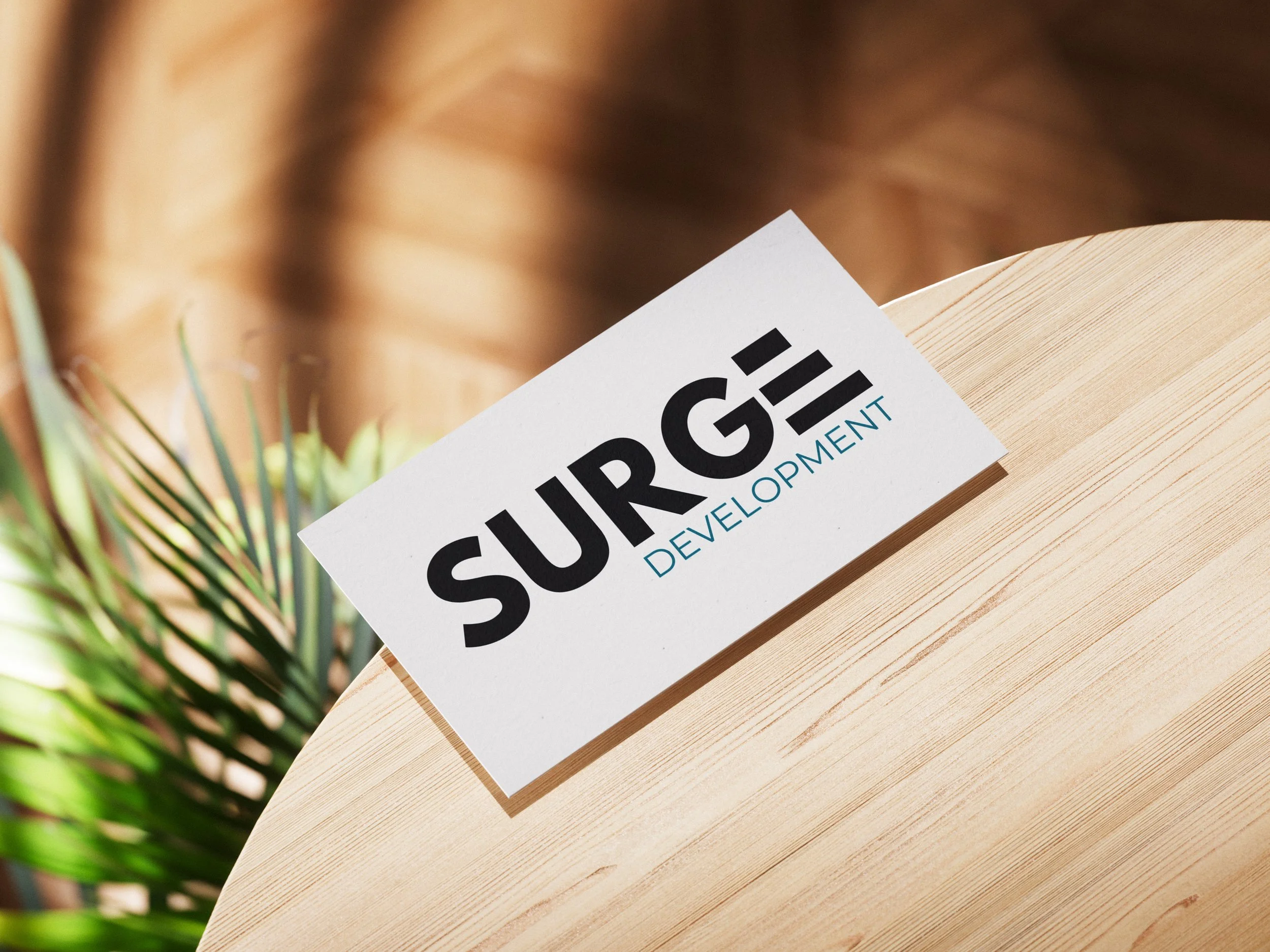 Mary Creative - Surge Development_2.jpg