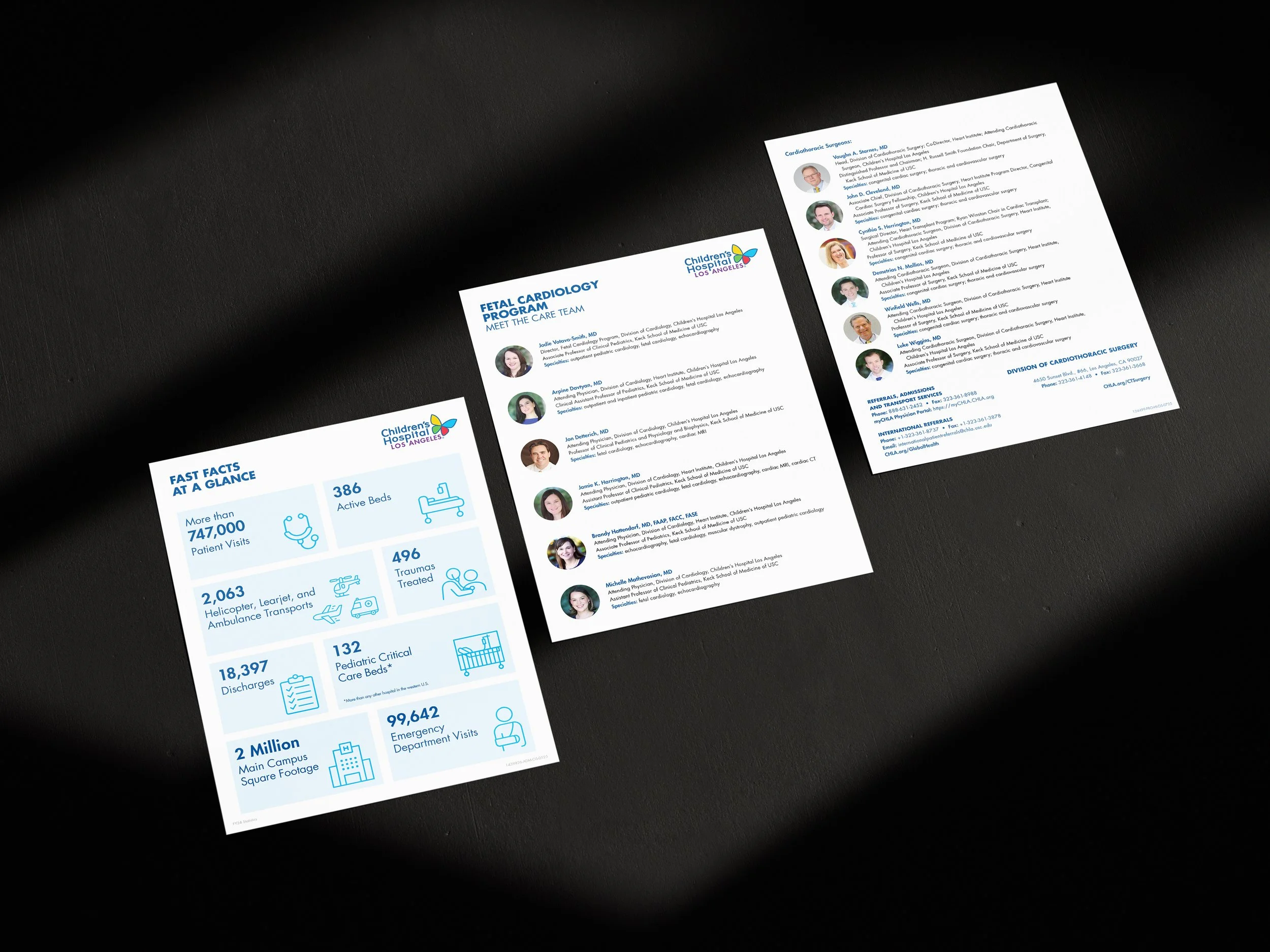 CHLA - OneSheets - ALT.jpg