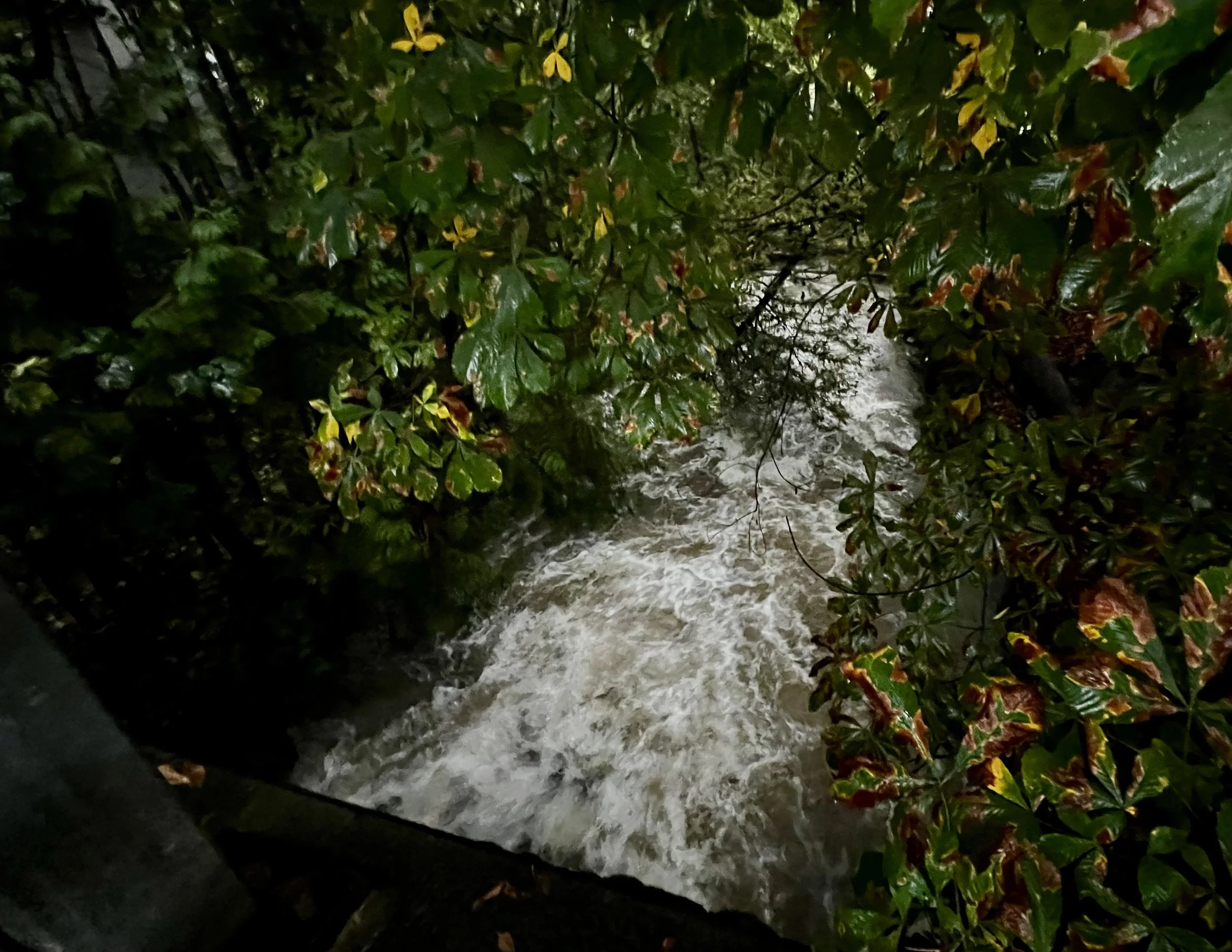 The Great Flood of Advent: First Sunday of Advent, Year A