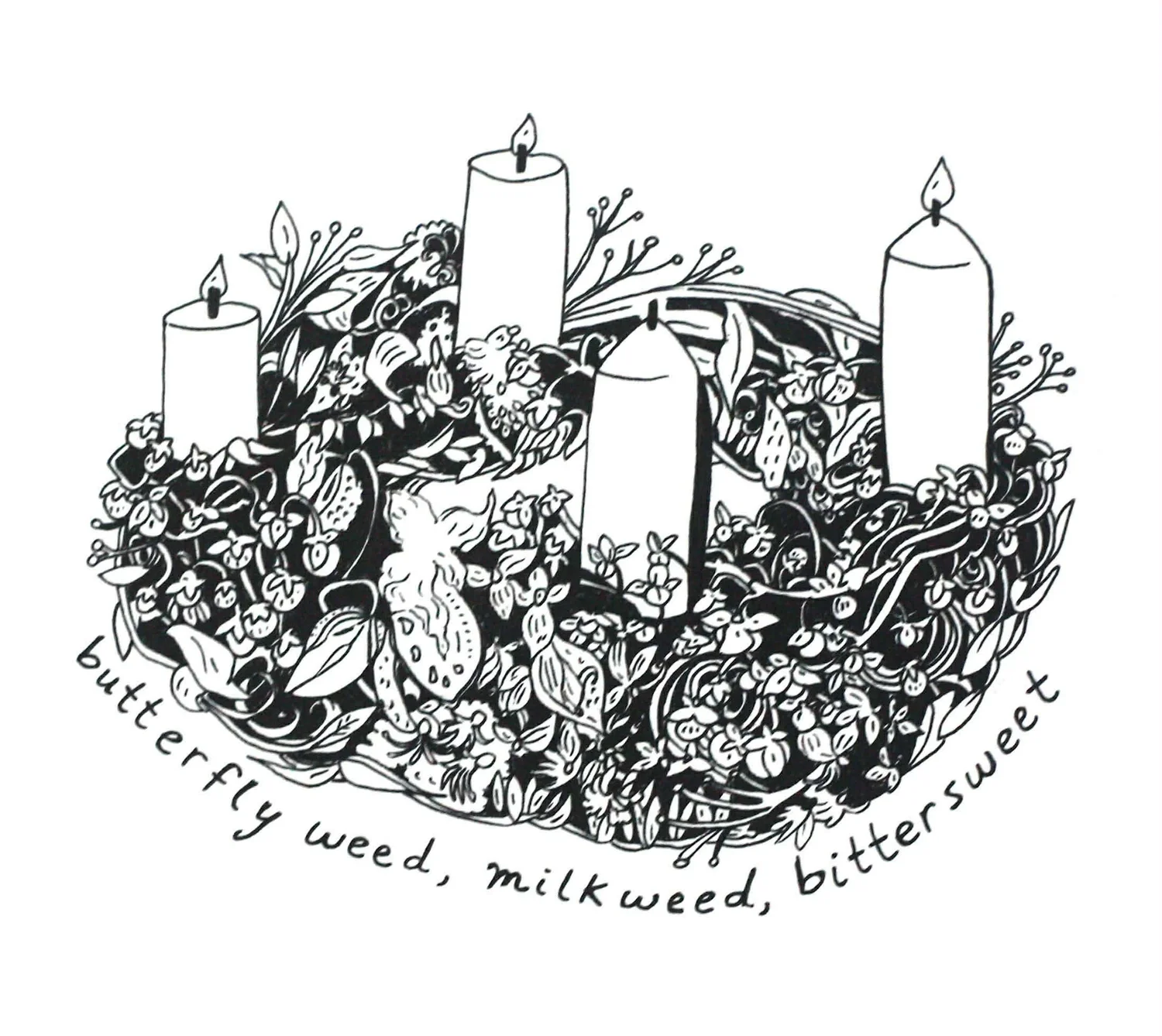 Crocus and Reed: Advent 3 Year A — Salal + Cedar