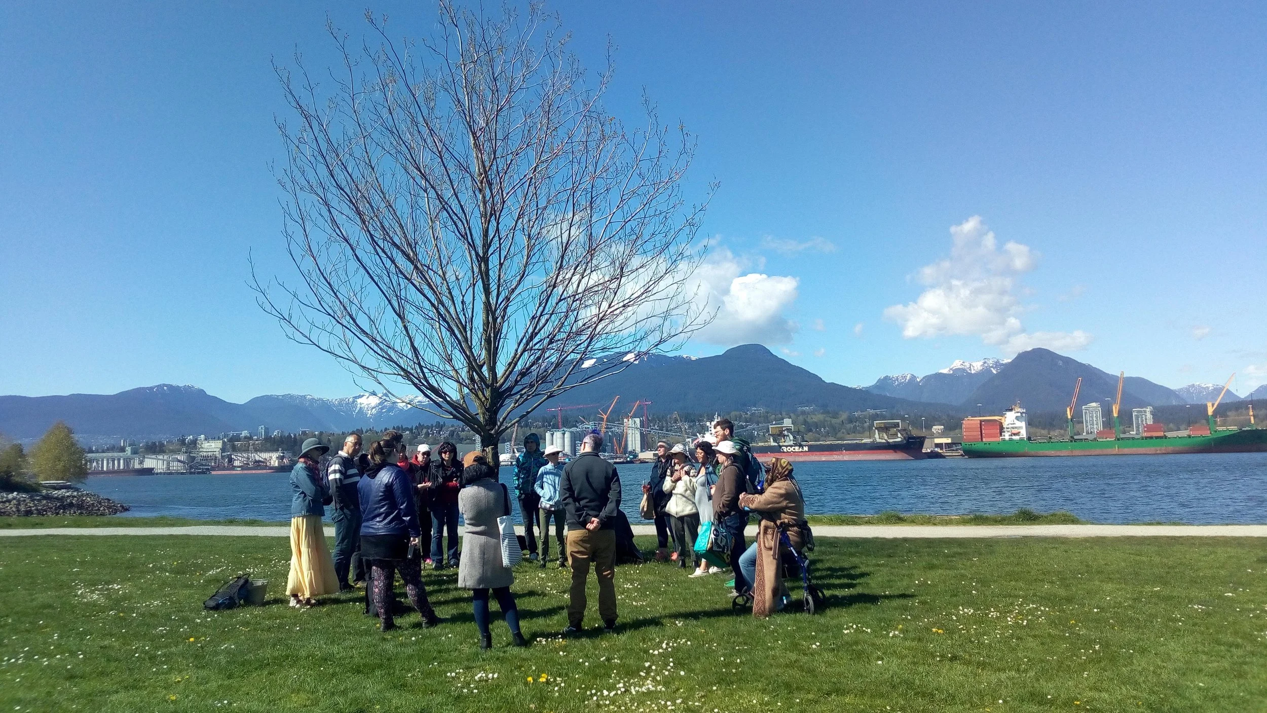 Earth Wounds: Ecological Stations of the Cross