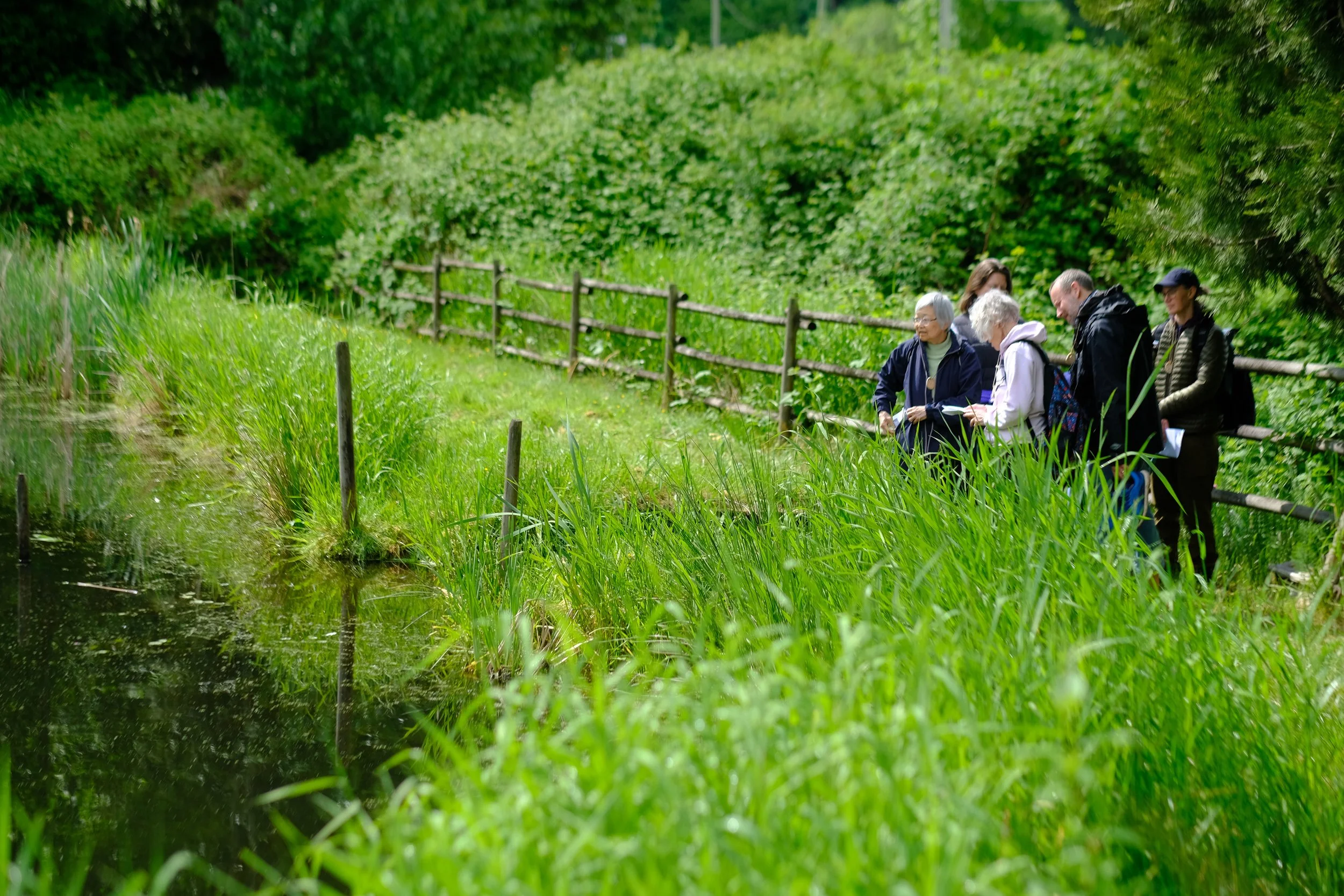 A Reflective Walk in Nature Eco-Pilgrimage