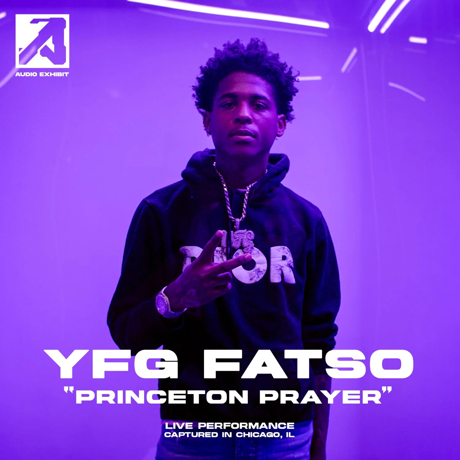 Fatso Audio Exhibit IG Template.jpg