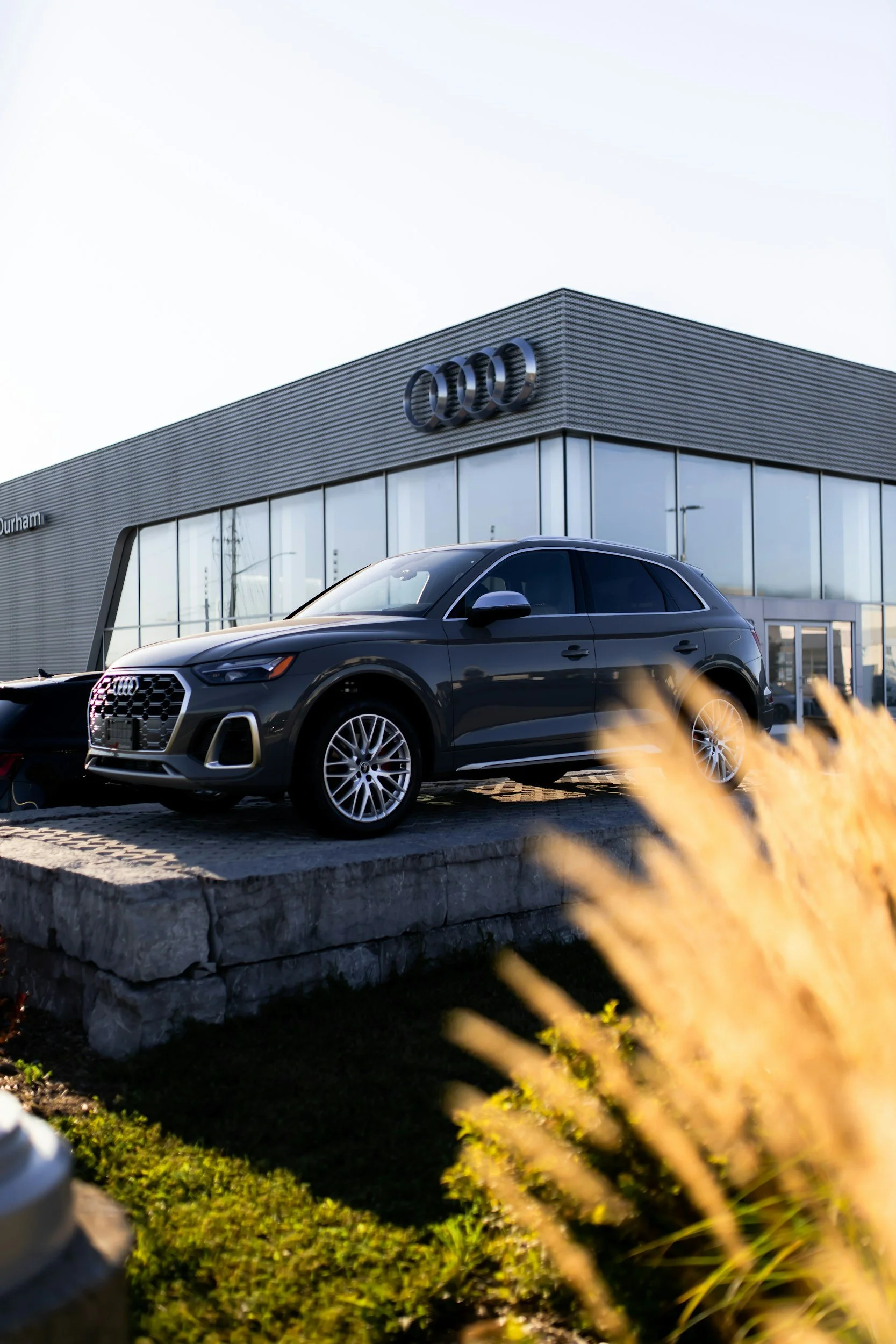 A black Audi SUV parked outside an Audi dealership building with large glass windows and the Audi logo on the facade.