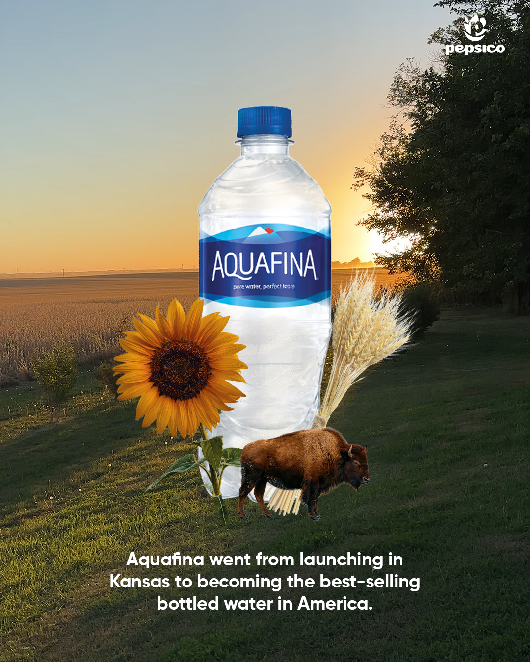 KA-Aquafina.png
