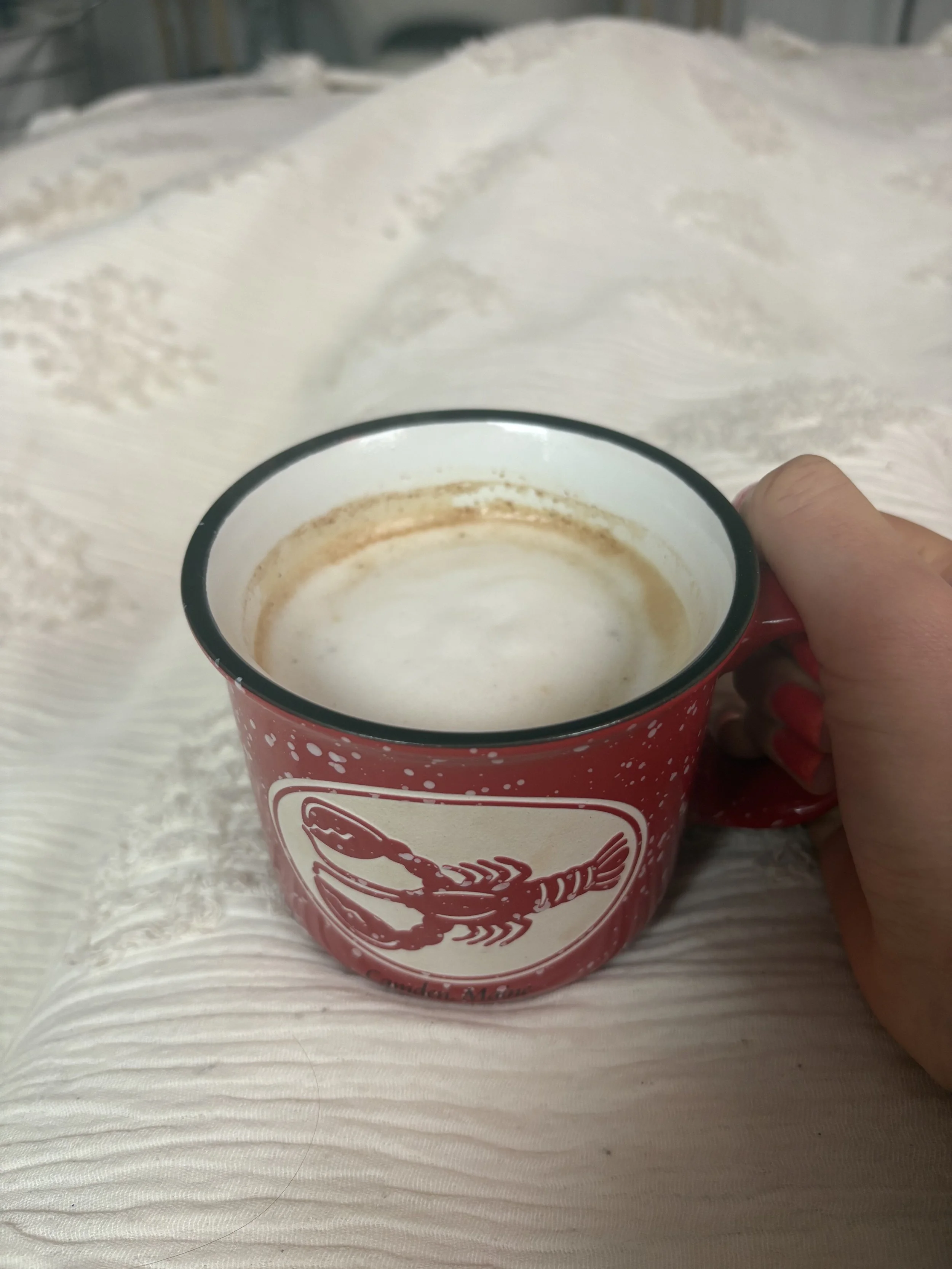 IMG_7162.jpeg