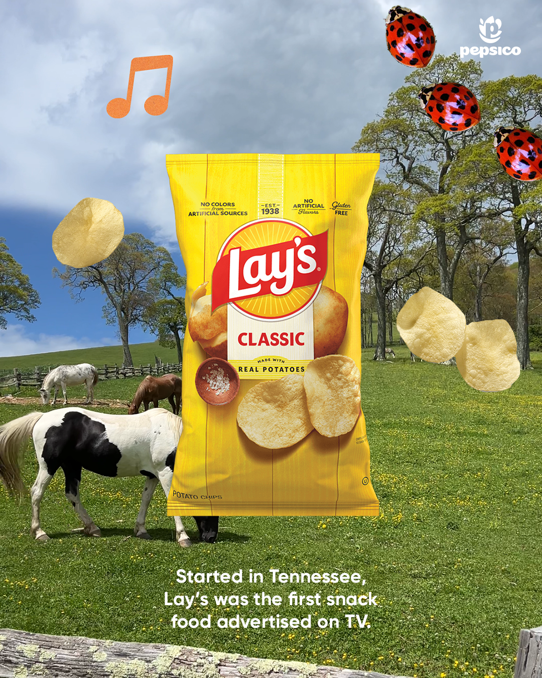 TN-Lays.png