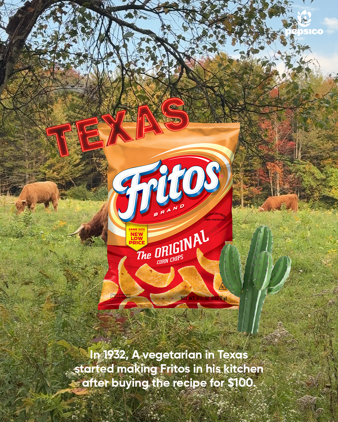 TX-Fritos.png