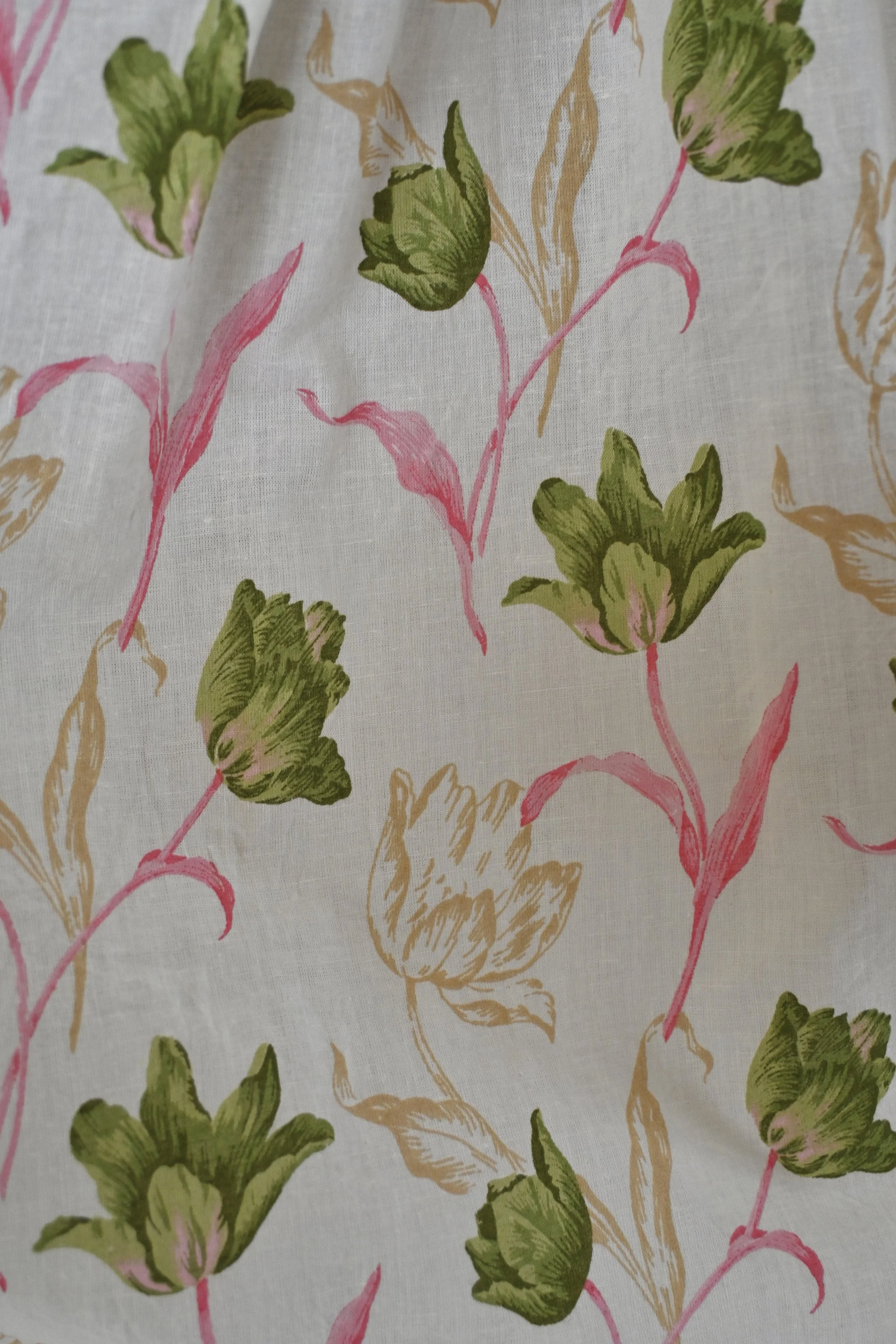 parrot_tulips.jpg