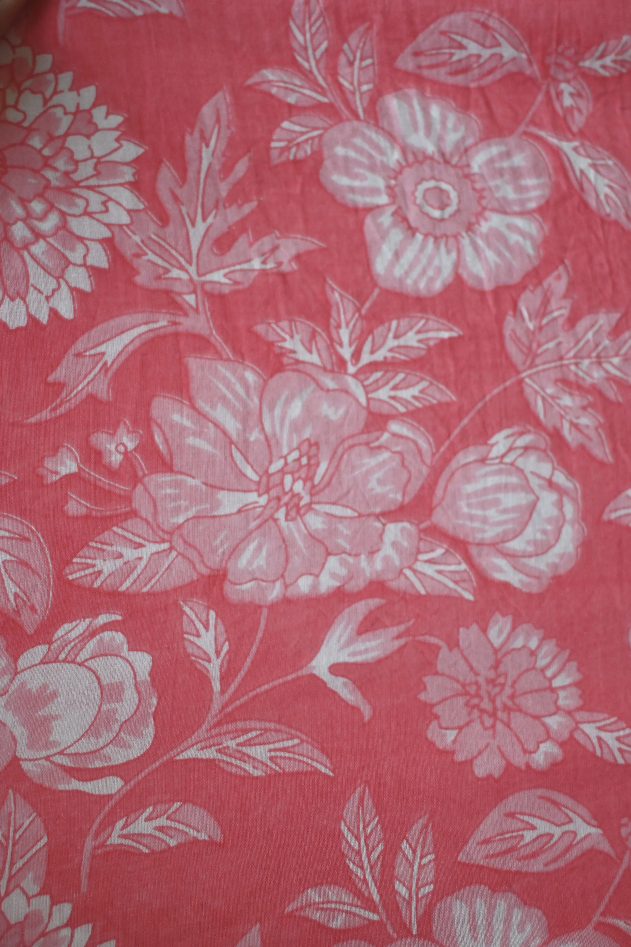 lychee_2279.jpg