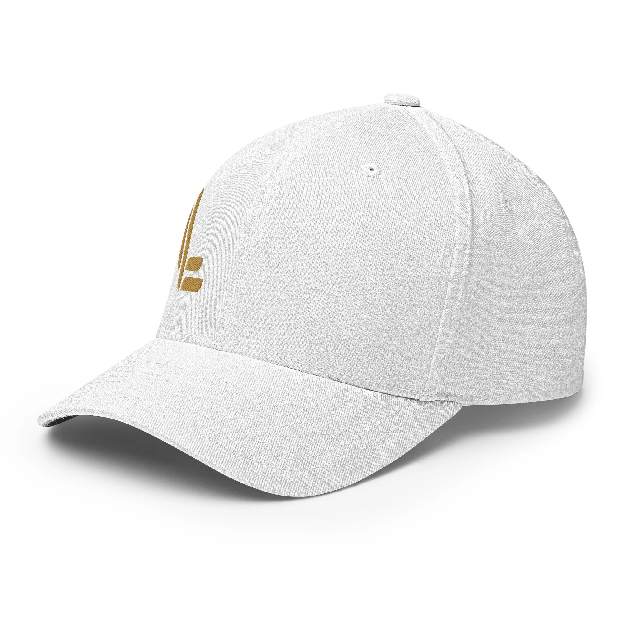 closed-back-structured-cap-white-left-front-691bb26e7c012.jpg
