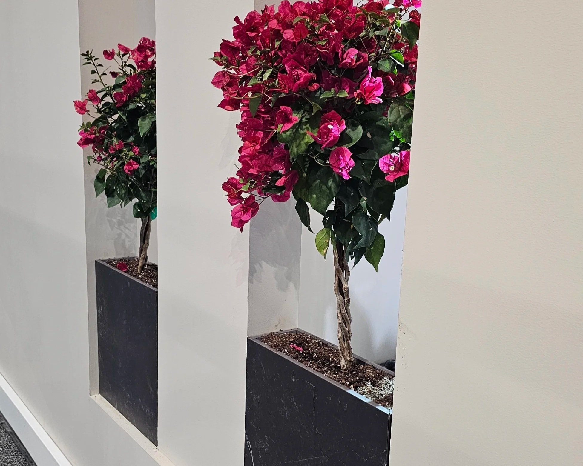 processed_Vase-planter-remnants-dekton(1).jpg