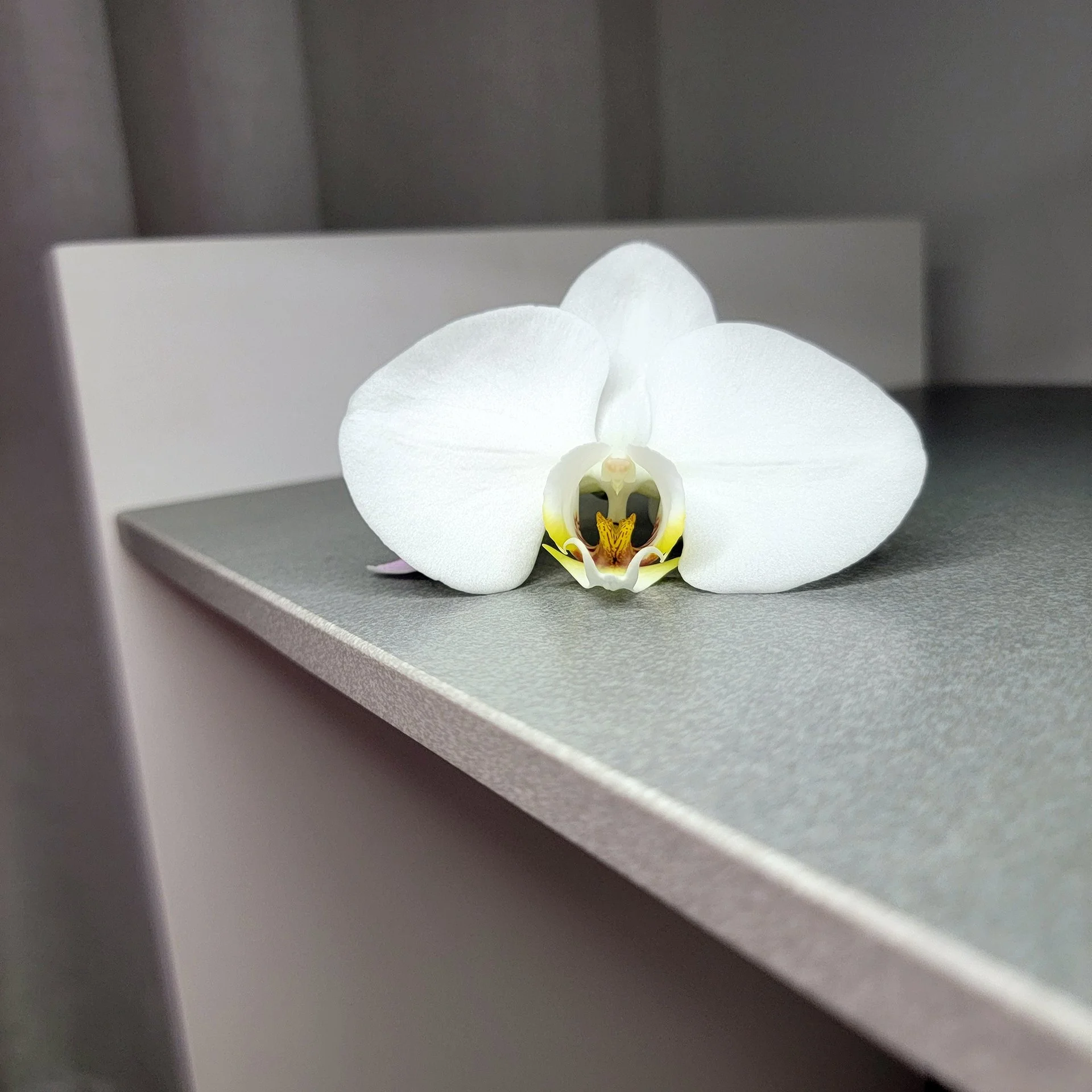12mm porcelain countertop featuring a modern eased edge profile
