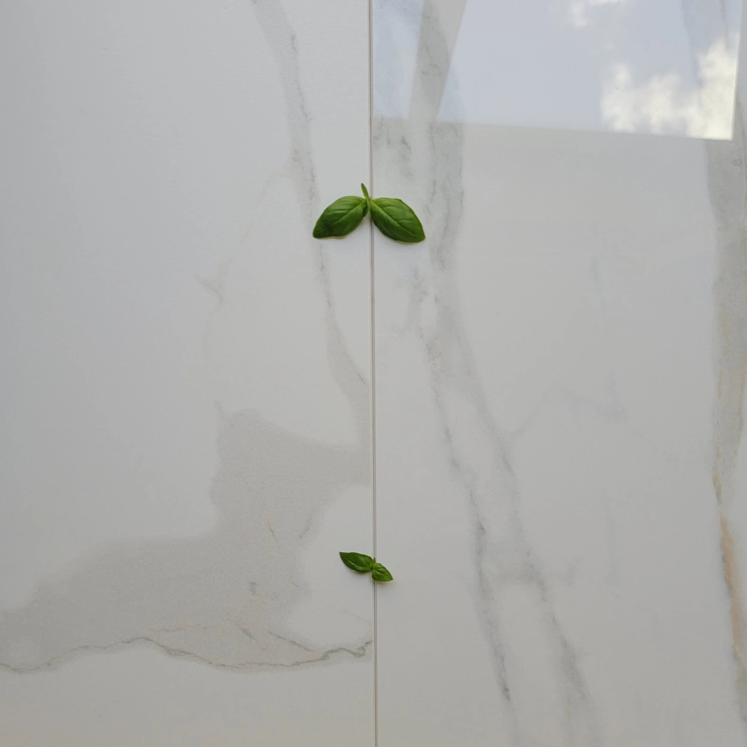 Polished vs. Satin Porcelain Stoneware Finishes: Defining Elegance and ...