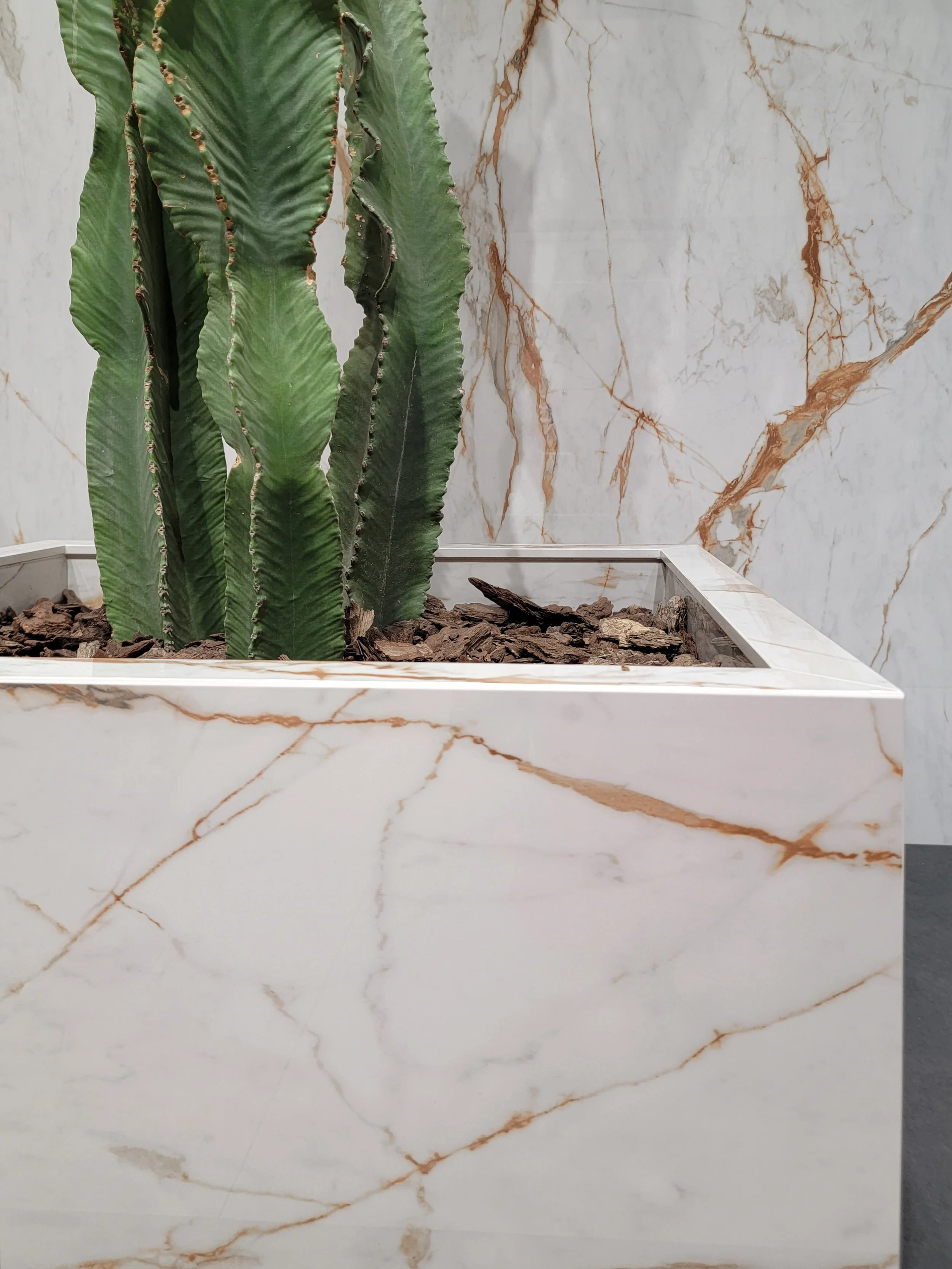 Elevate your decor with Dekton vases, perfect for cacti and other plants. These vases combine the durability and beauty of Dekton with modern design.