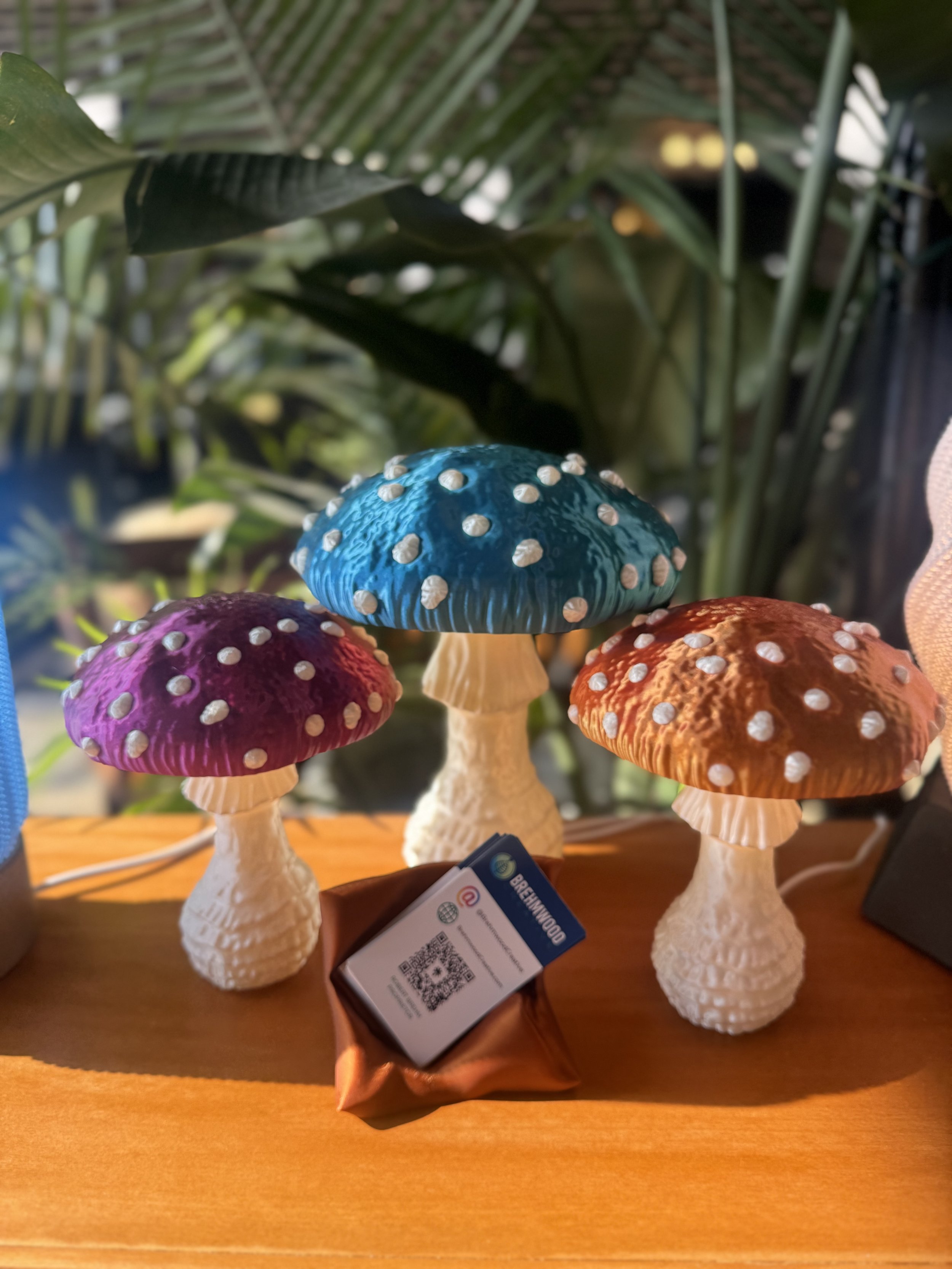 'Fungus LIght'