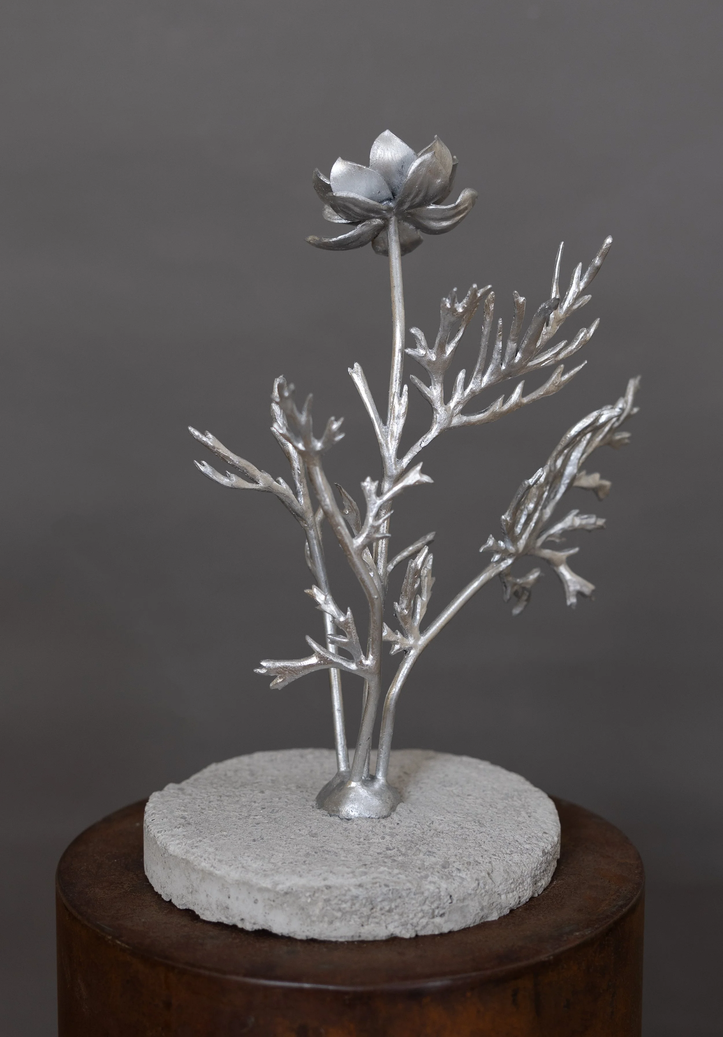 'Adonis' by Amber Lelli