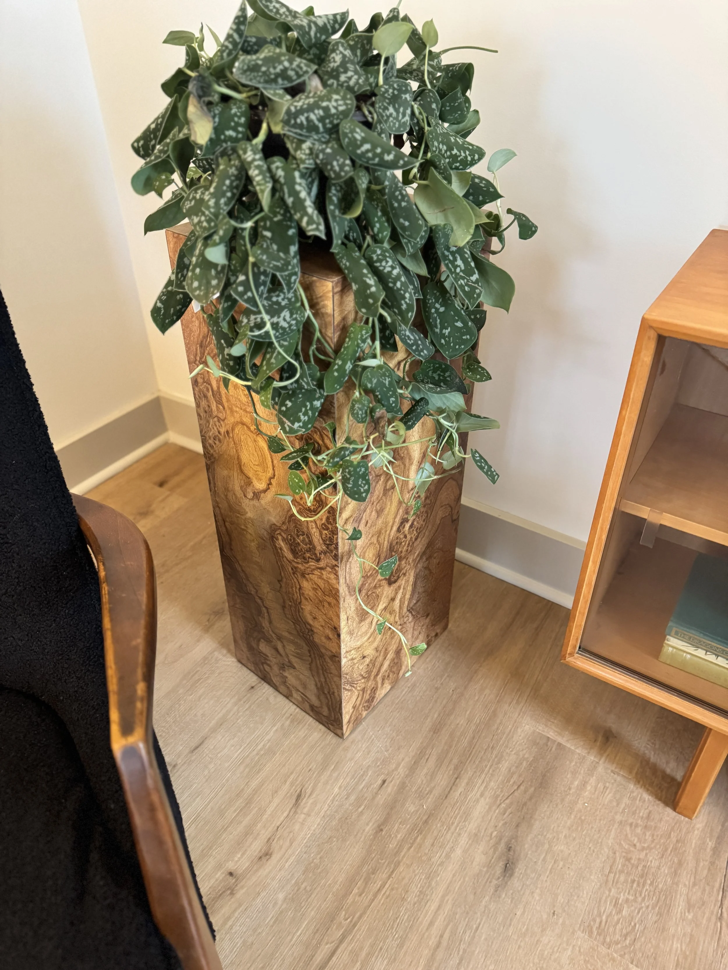 Vintage Burlwood Pedestal