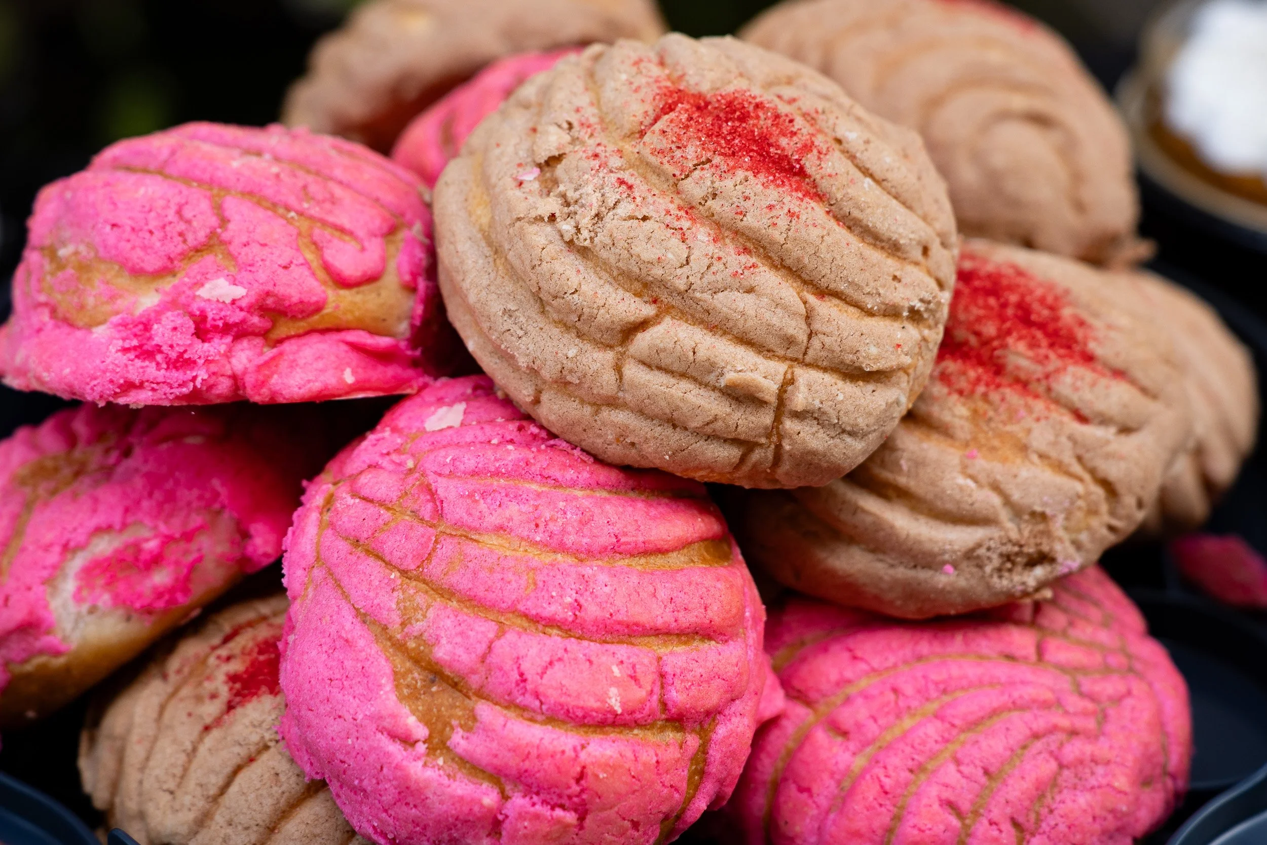 Super Lucha 2025-66.jpg