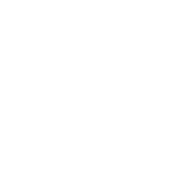 Notarized document icon with ribbon seal representing apostille and international authentication services