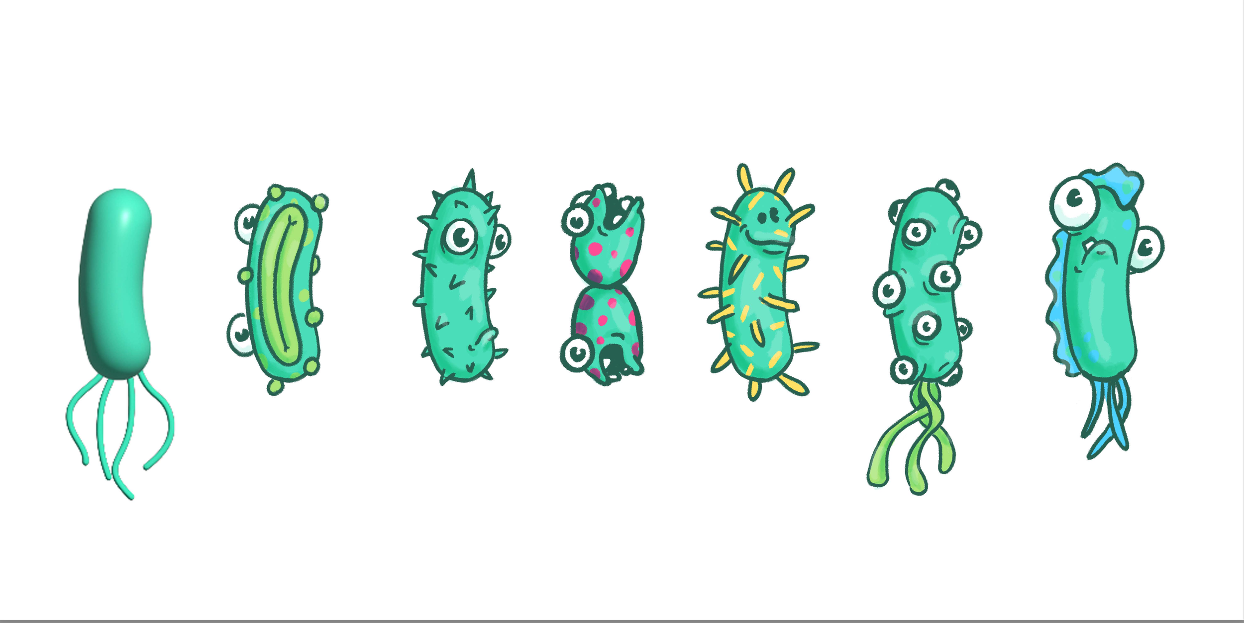 E. Coli — Initial Designs