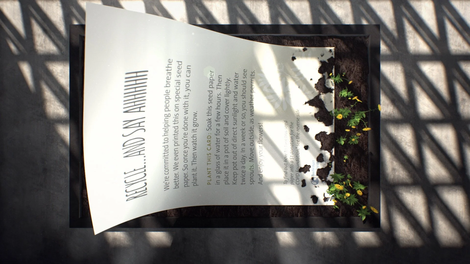 Respimat_Intro_v37_ALT (0-02-24-11).jpg