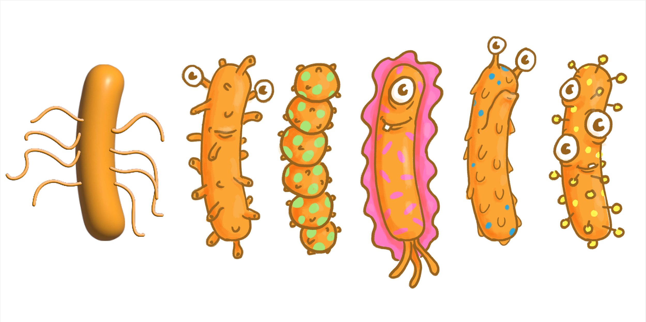 C. Diff — Initial Designs