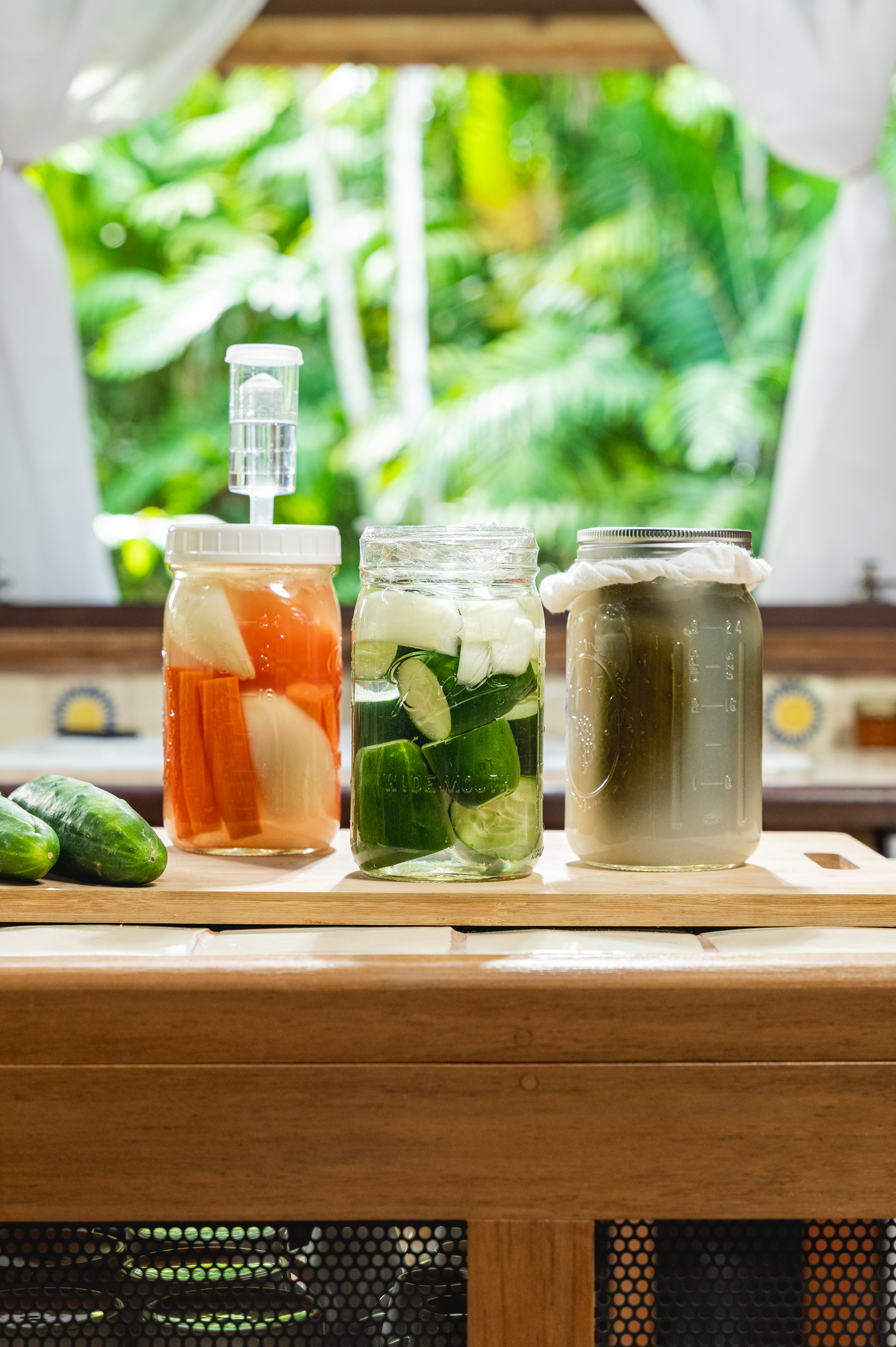 Fermentación ácido láctica - pepinos