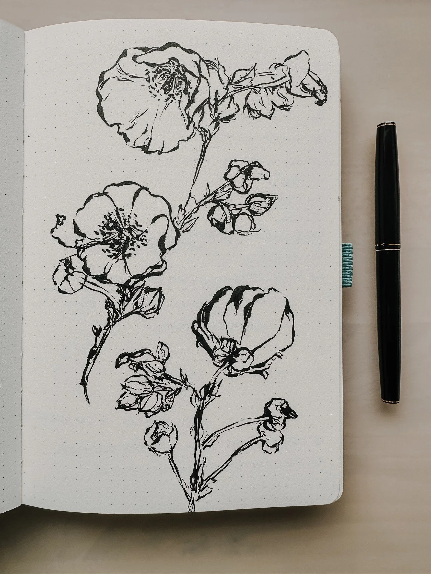 I&rsquo;ve been really enjoying brush pens lately! It used to be that I&rsquo;d only pick up a brush to blend some graphite, and maybe some tinting with acryla gouache. 😆 Now, watercolors, brush pens&hellip; it&rsquo;s a whole new world. 🎨

It lets