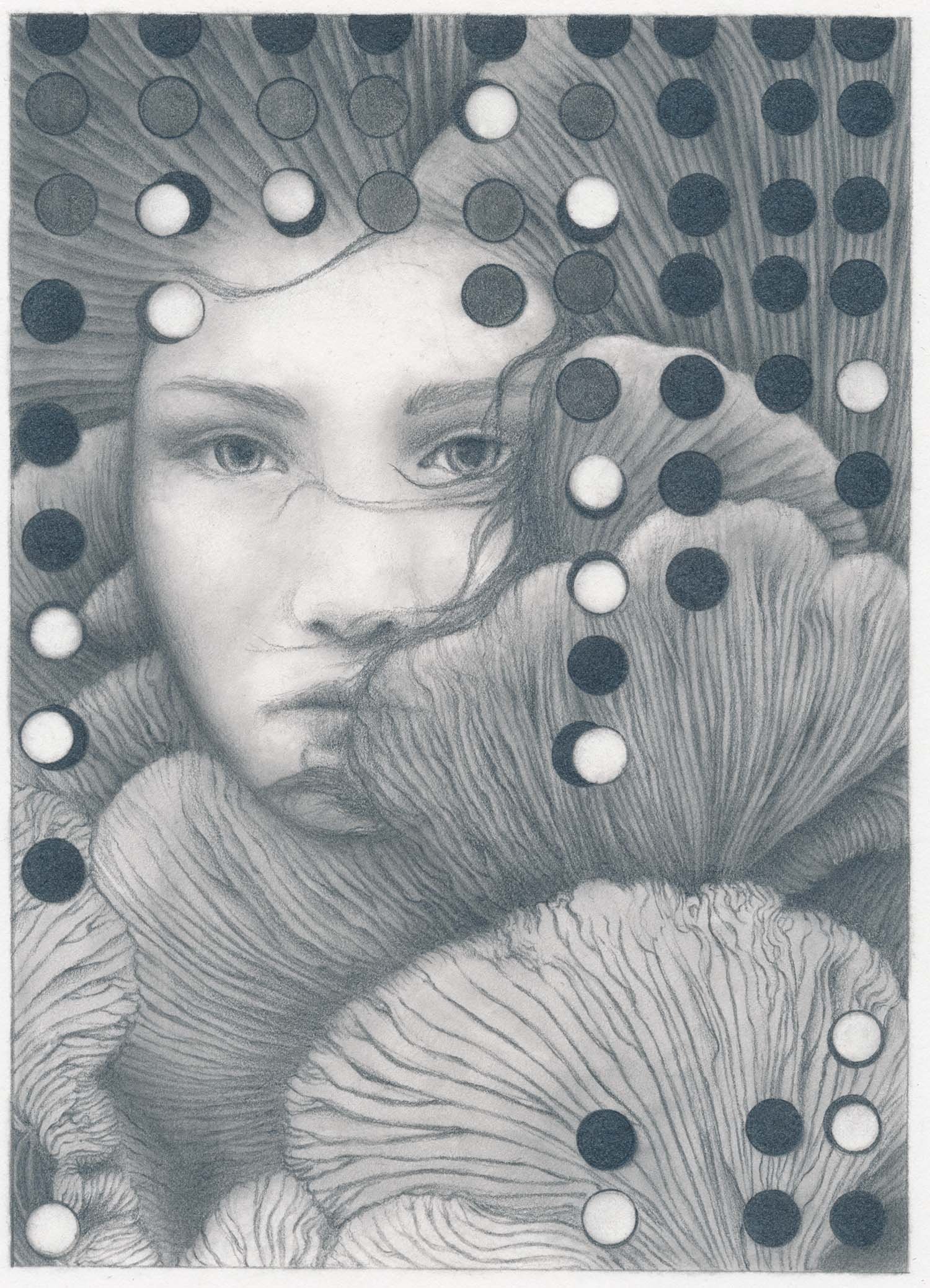 Oyster (Original)