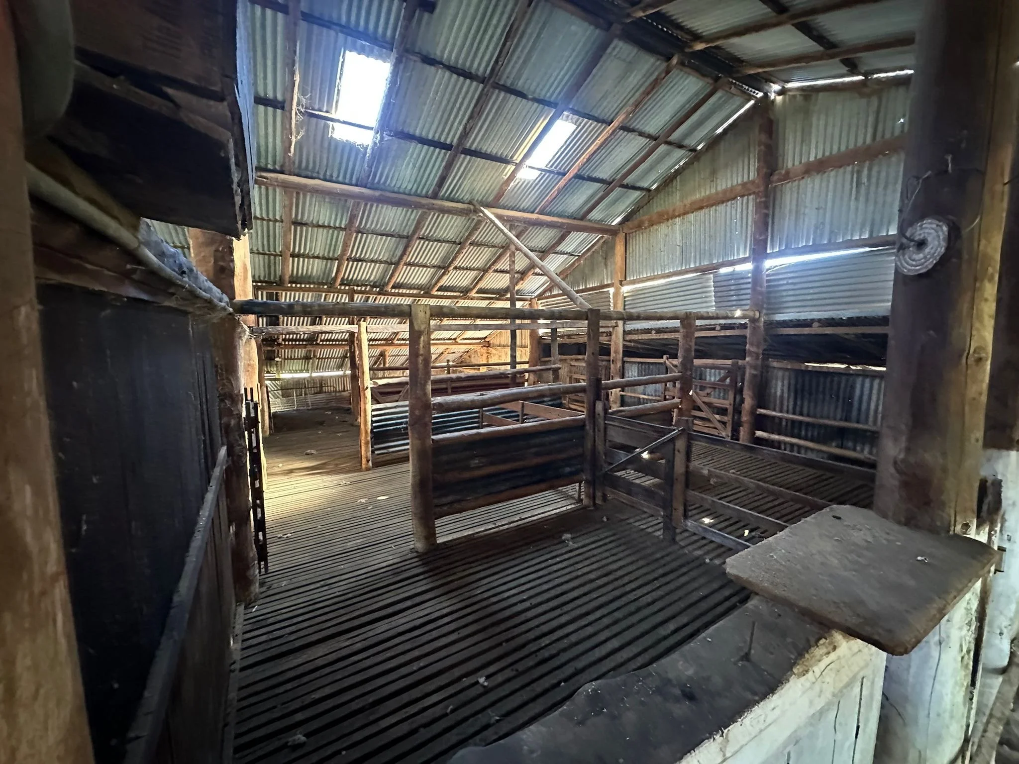 Roscommon shearing shear.jpeg