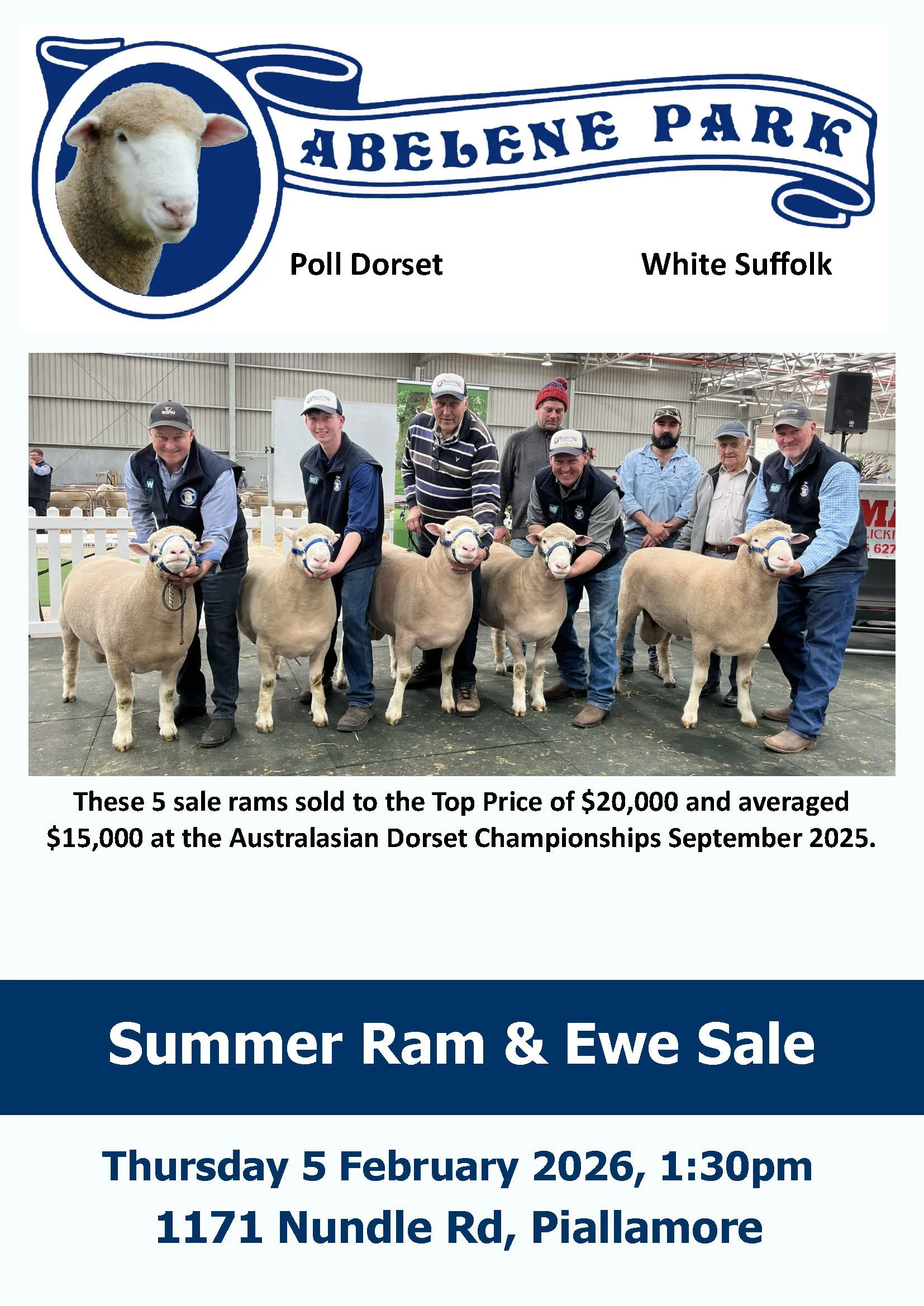 Abelene Park Summer Ram &amp; Ewe Sale 