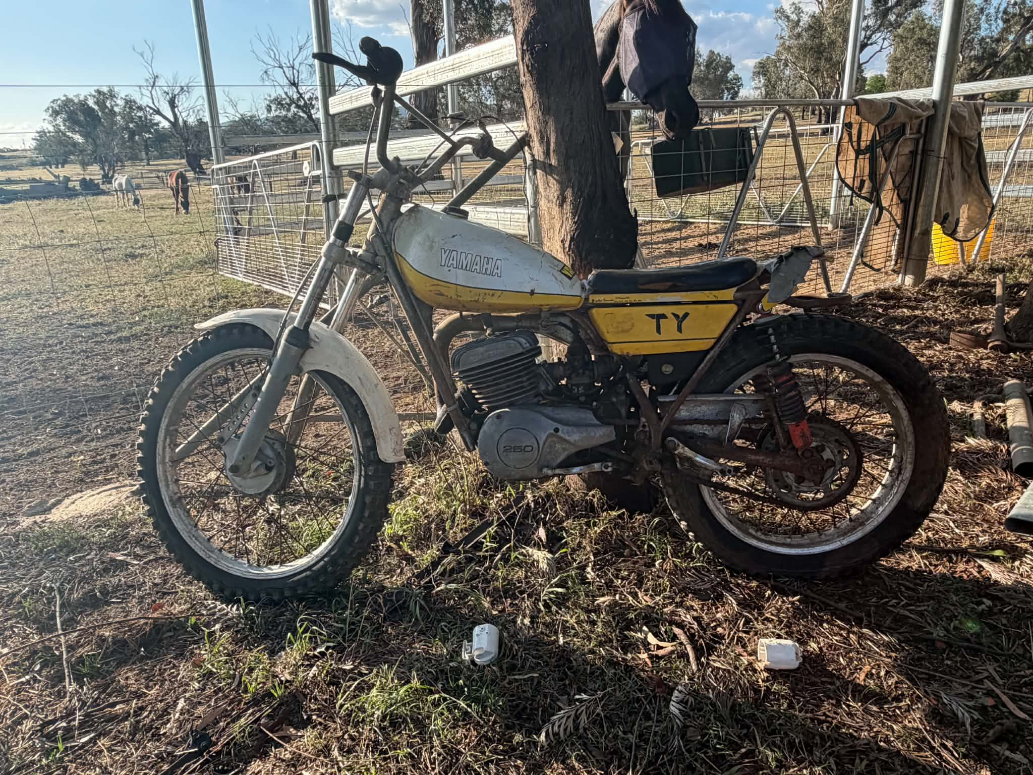 aafd9f1e-6958-48a1-8131-7888898629d5.png