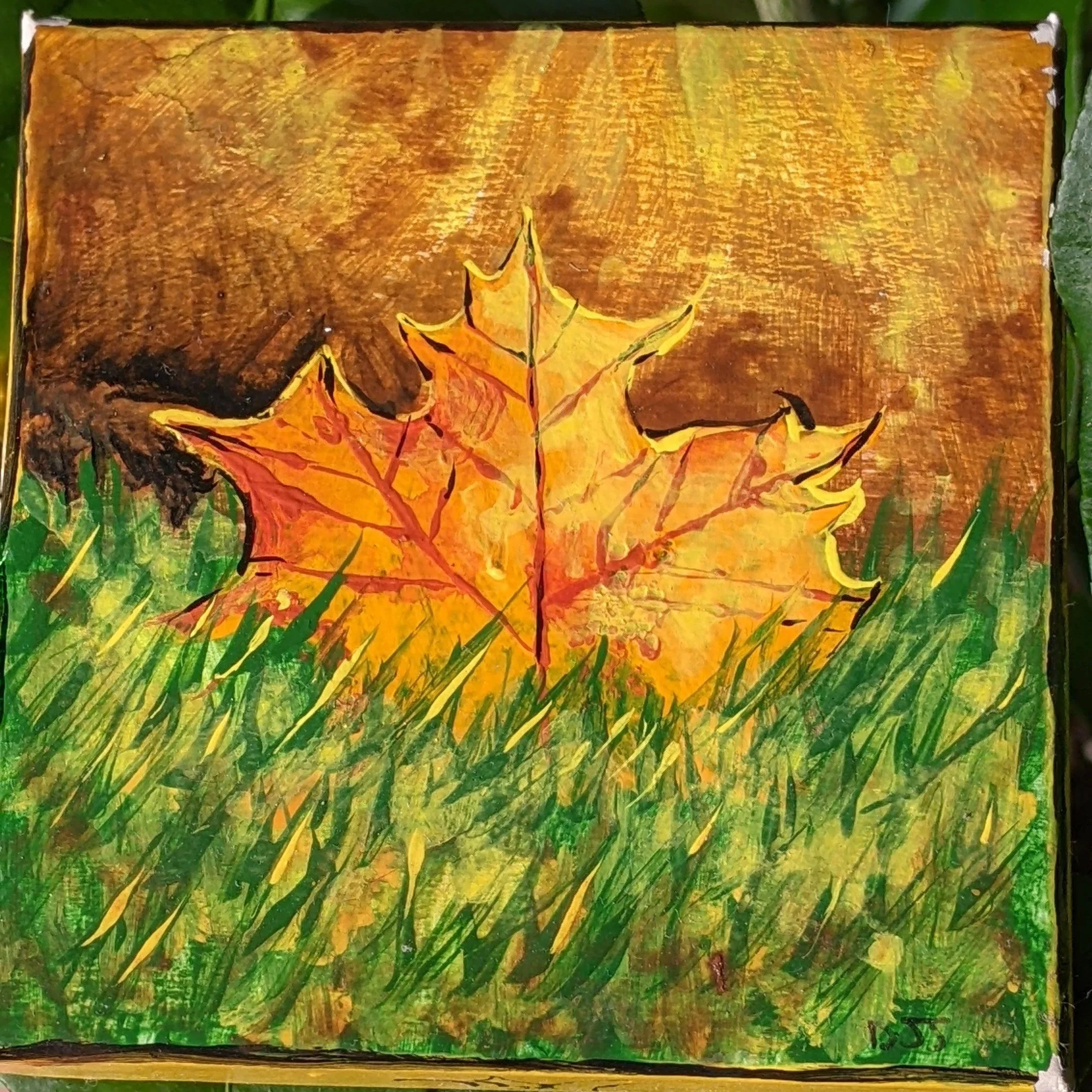 PXL_20251016_143818400.MP.jpg