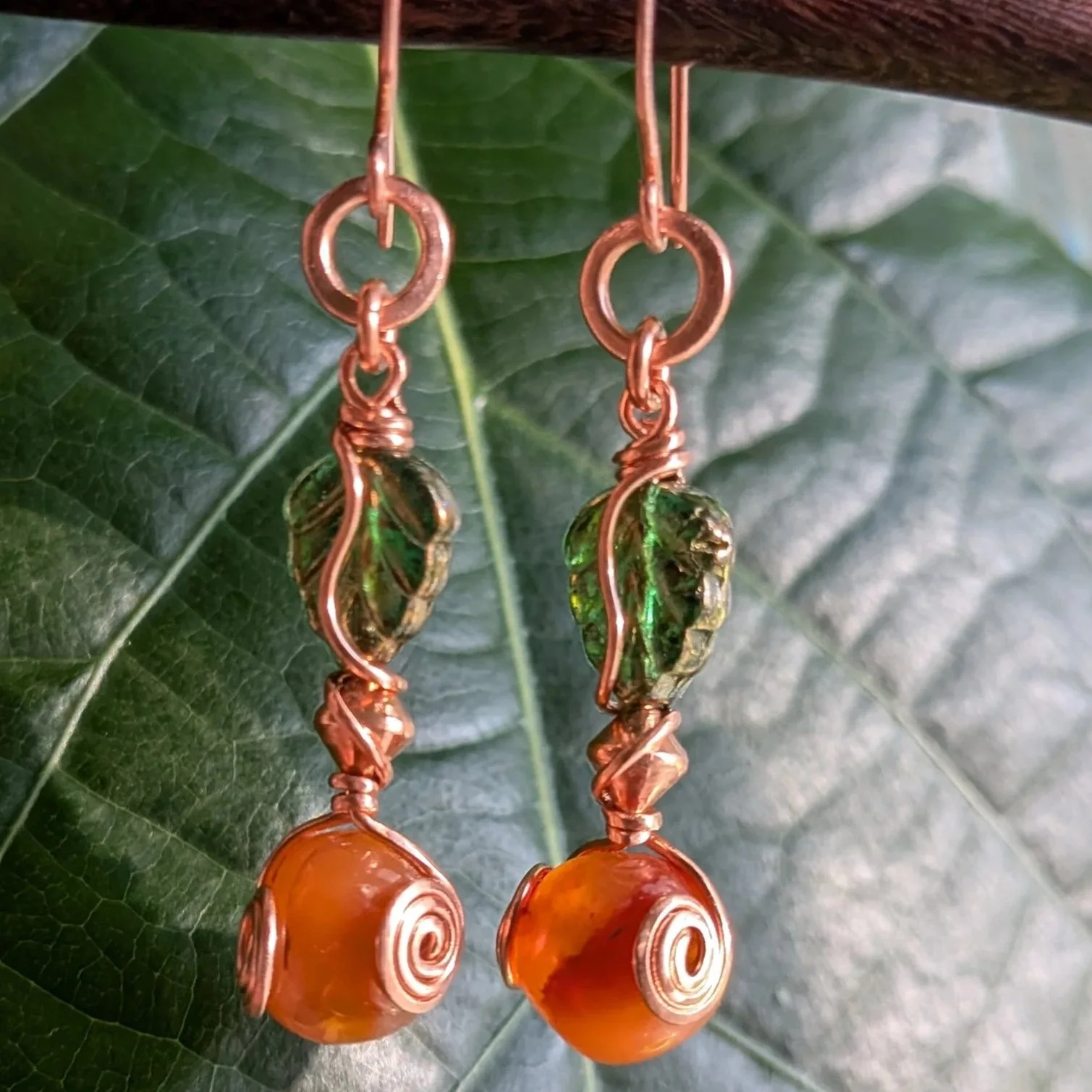 PXL_20260908_220839126.MACRO_FOCUS.MP.jpg