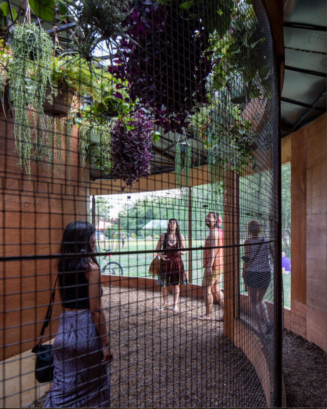 Visitors inside Helio Oiticica's PN15 under hanging tropical plants seen through screen