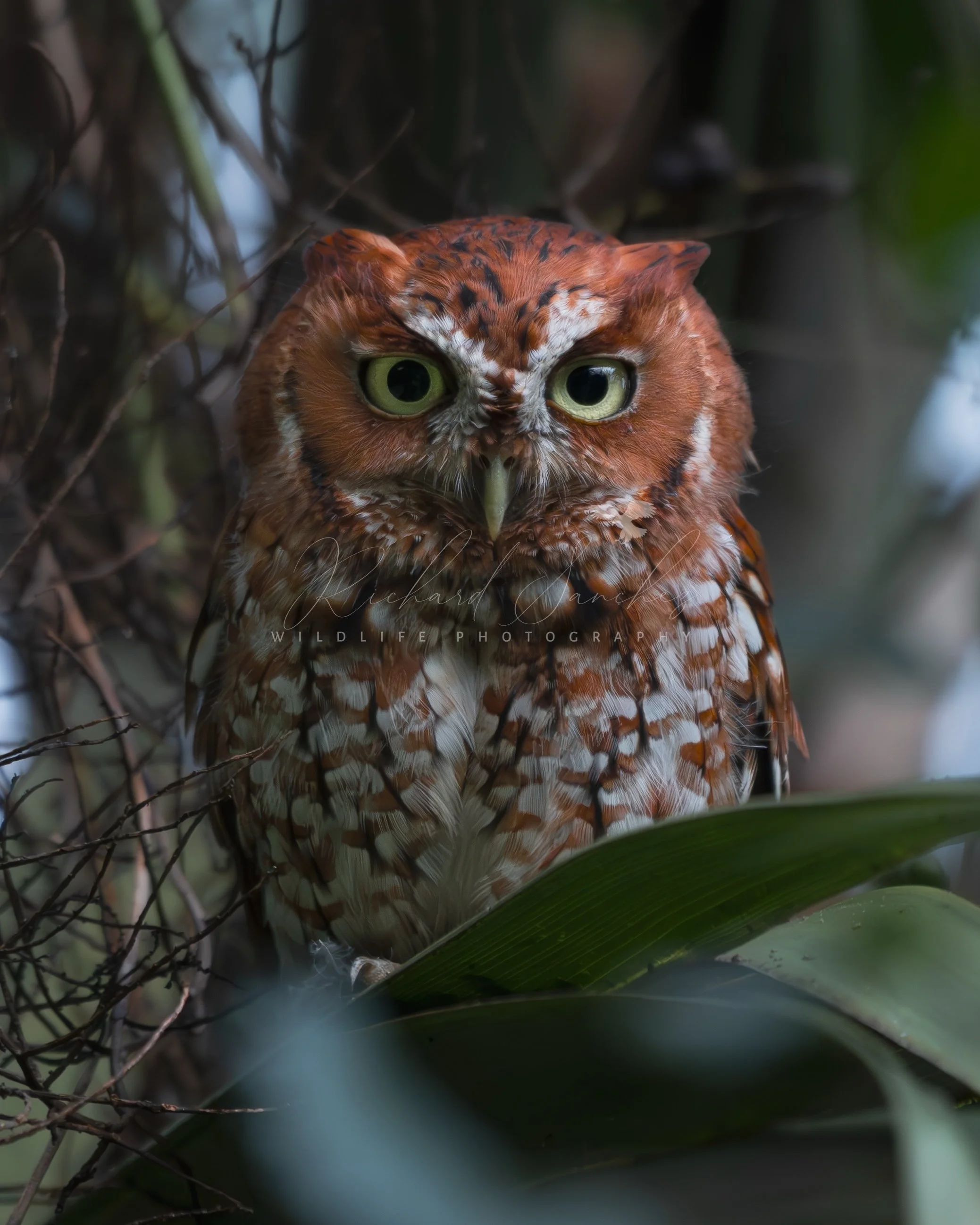 eZy Watermark_15-12-2025_02-27-13-5610PM.JPG