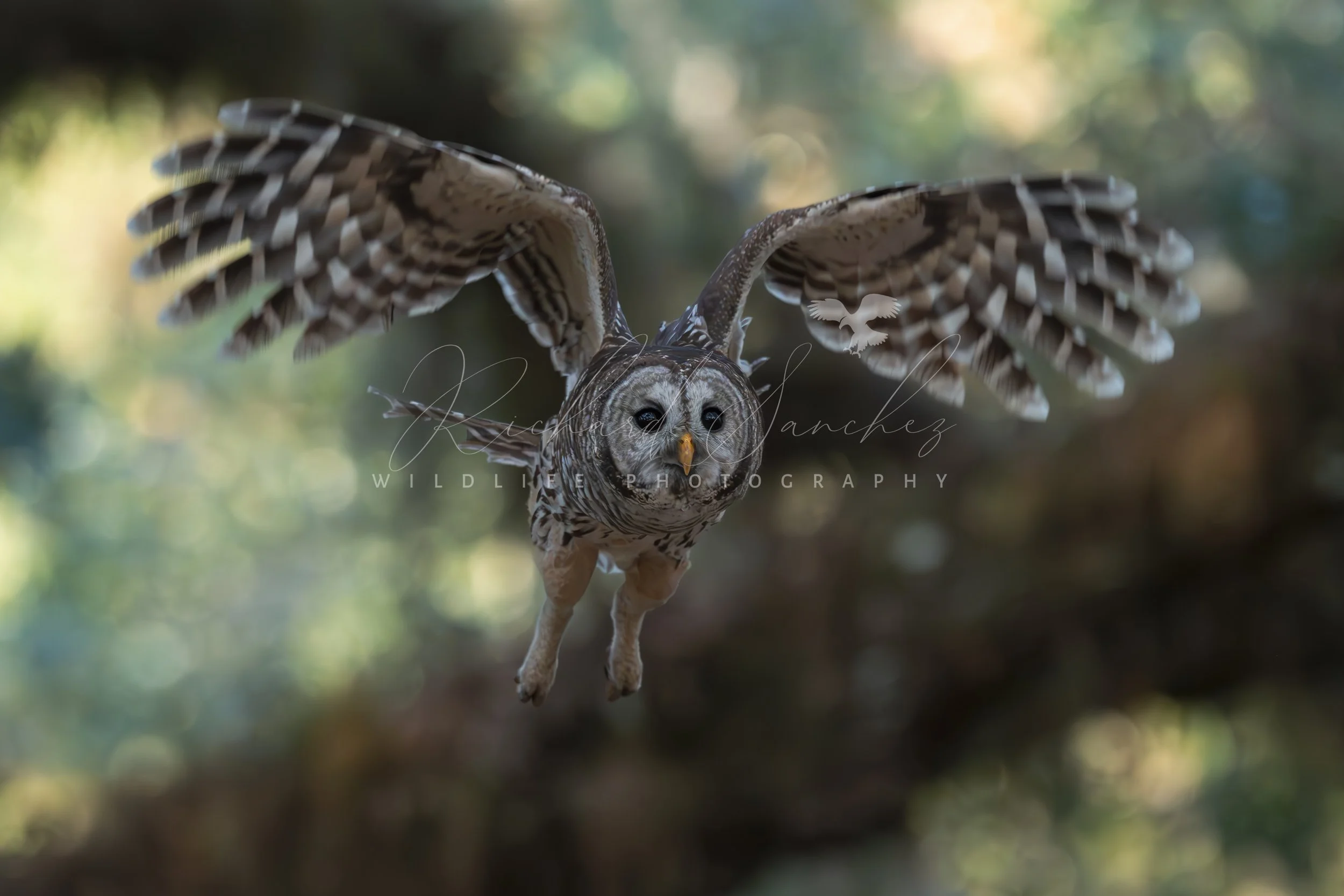 eZy Watermark_15-12-2025_02-27-37-1440PM.JPG