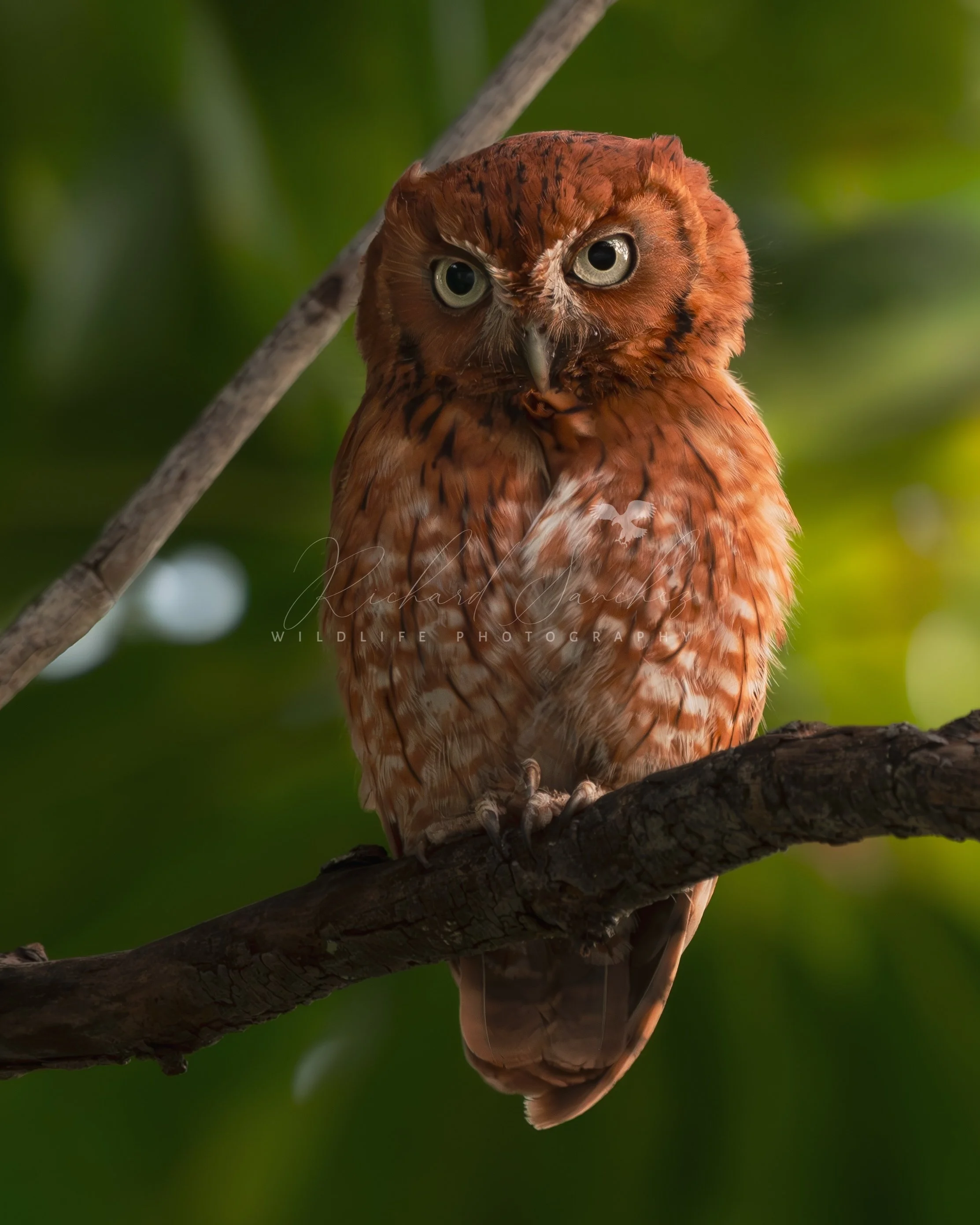 eZy Watermark_20-12-2025_02-26-23-4410PM.JPG