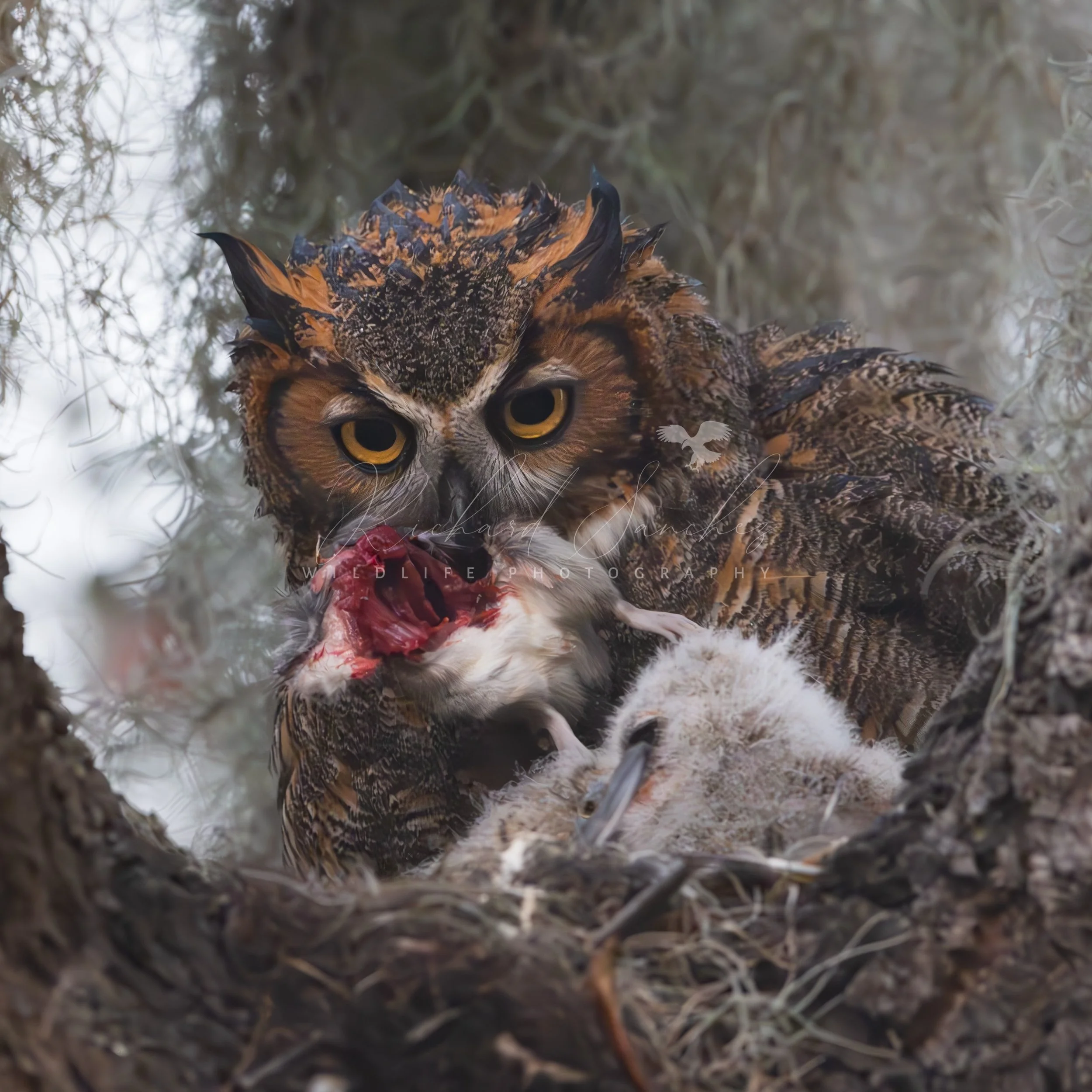 eZy Watermark_15-12-2025_03-33-25-3320PM.JPG