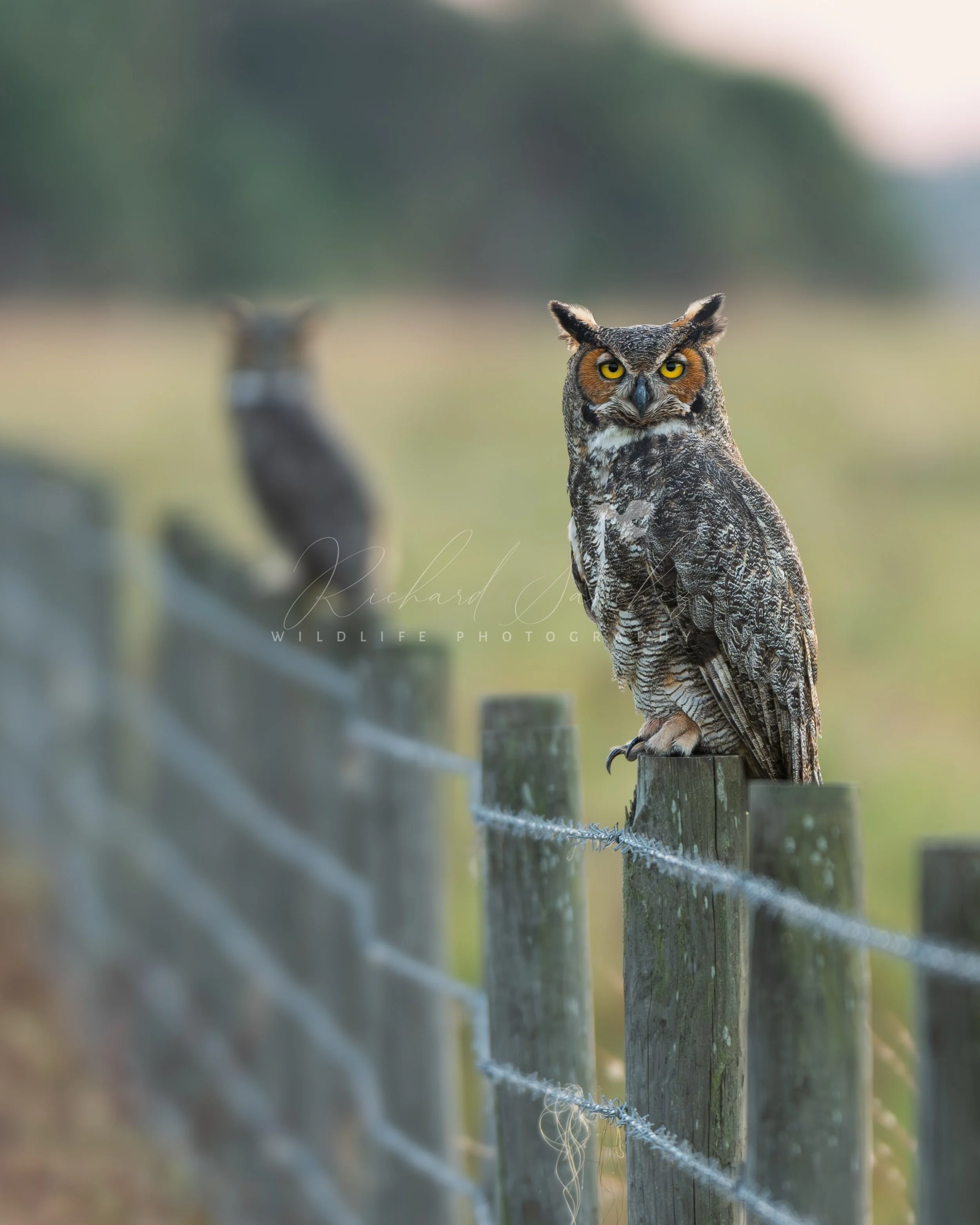 eZy Watermark_15-12-2025_02-27-34-8300PM.JPG