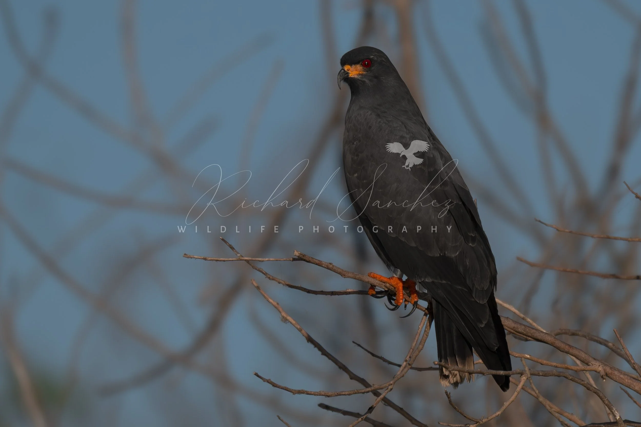 eZy Watermark_15-12-2025_02-27-47-5990PM.JPG