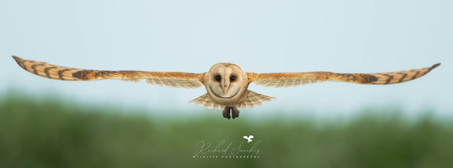 RICHSANCHEZPHOTOGRAPHY