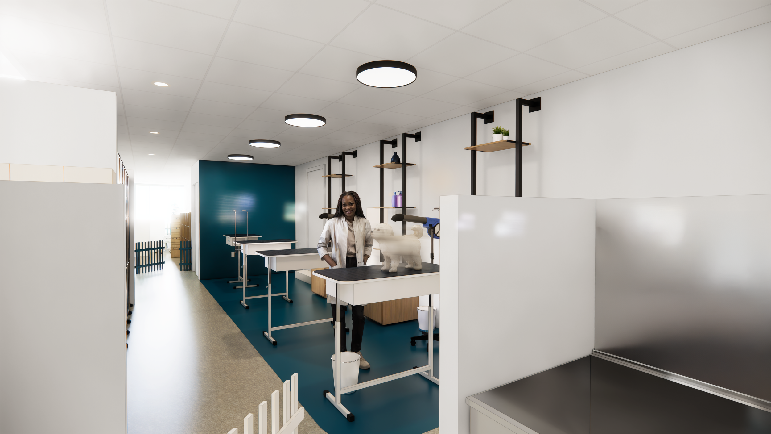 PLL_824 GROOMING - 20MB.png