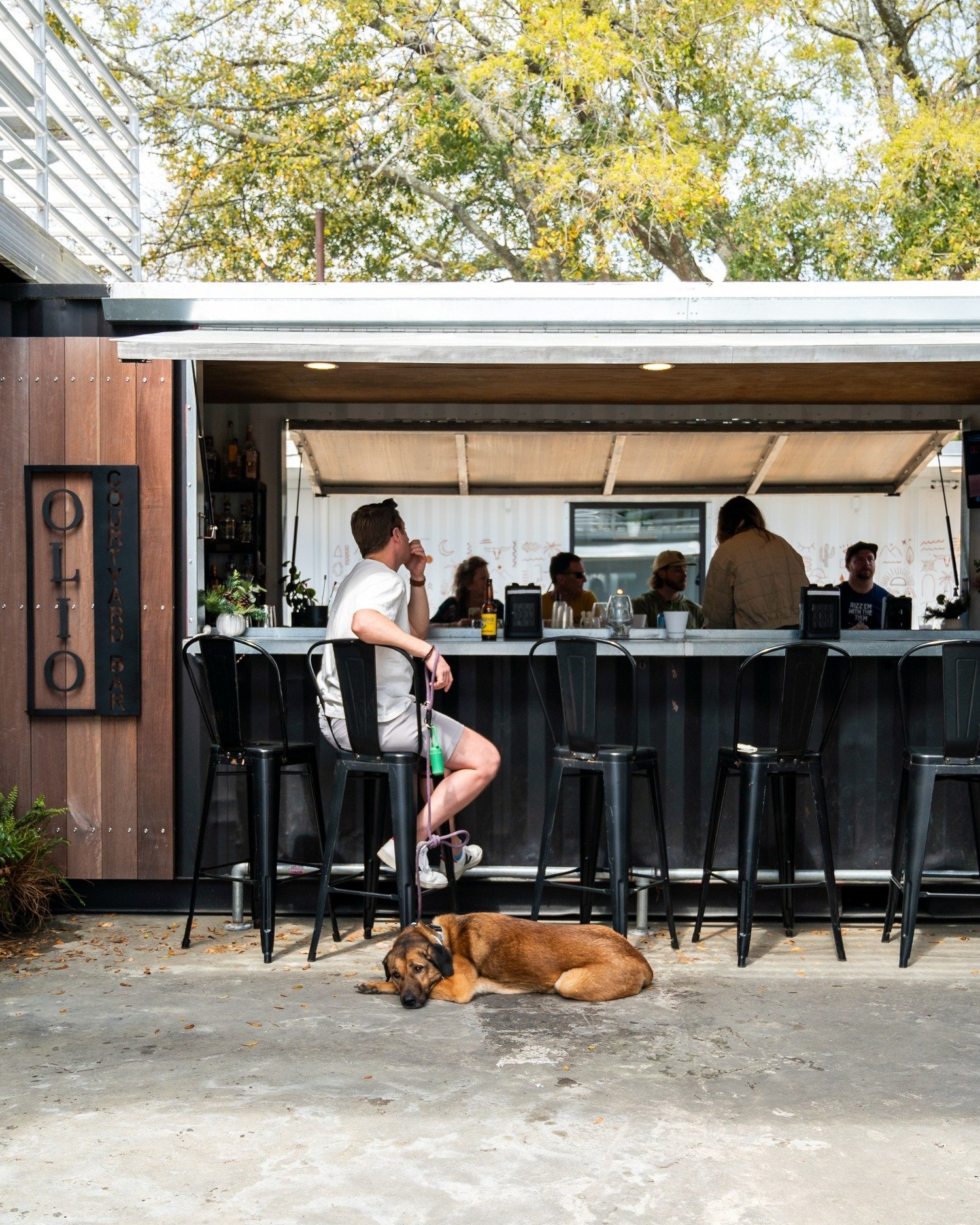 Happy Friday! 🍻 Come chill in the district this weekend (just like this super cute pup). @olio_courtyardbar is a great place to start the day/night! After a drink at Olio, make sure to explore the rest of our neighborhood&rsquo;s bars, local eaterie