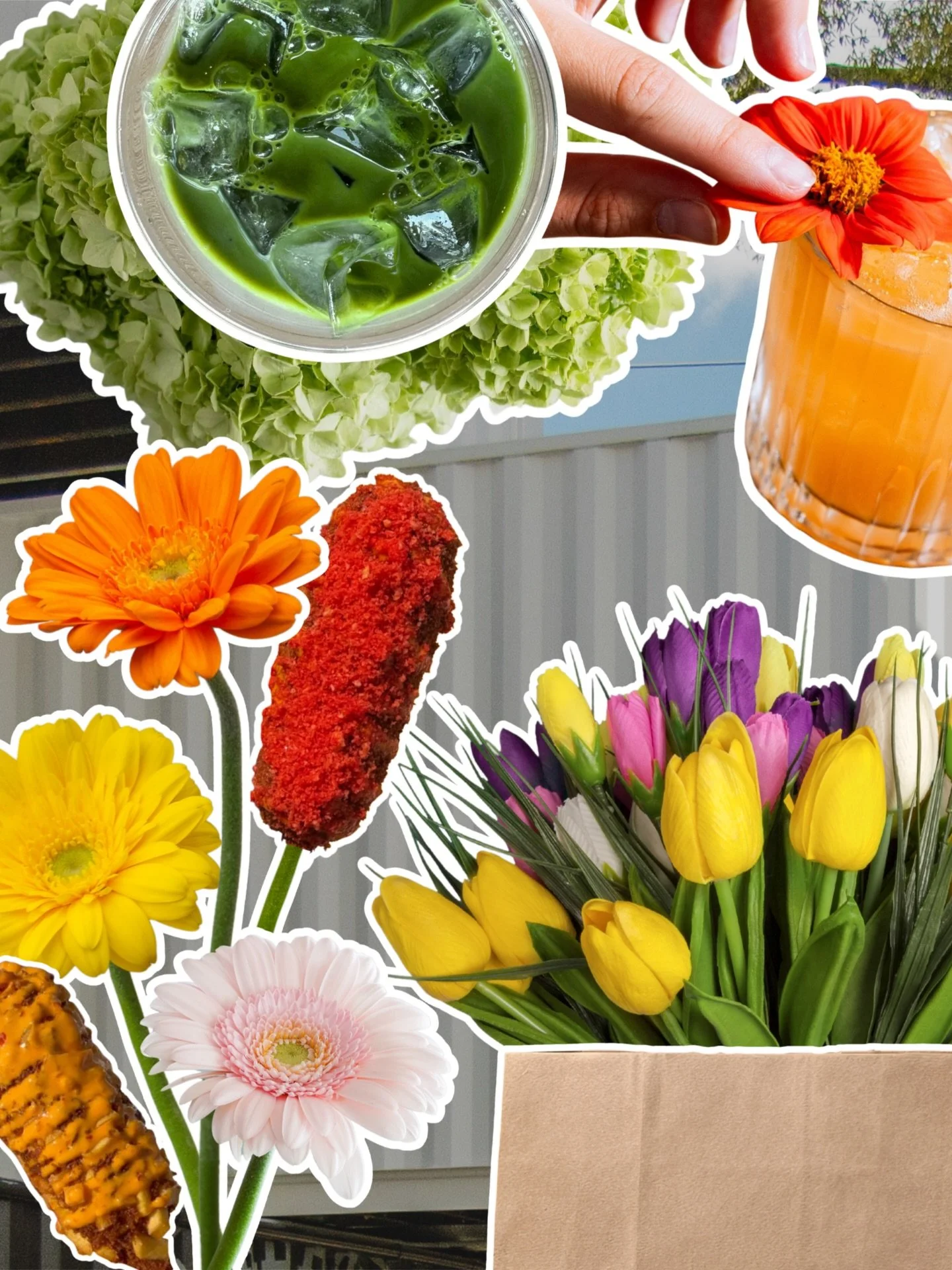 A very floral hint at what we&rsquo;ve got planned for you&hellip; 💐 

MORE INFO TO COME, STAY TUNED WILMINGTON! 👀

#downtownwilmingtonnc #wilmingtonnc