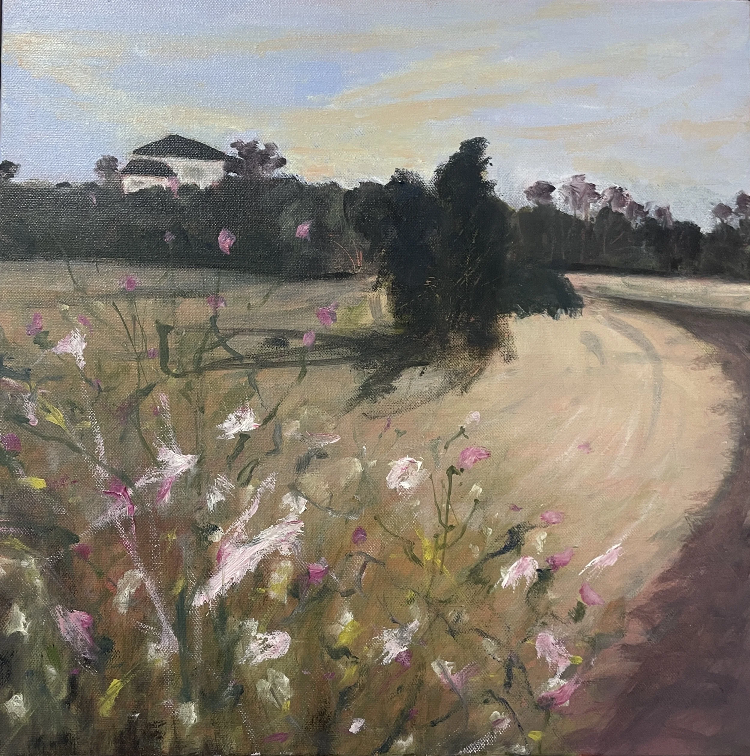 Thistles Flowering Yarra Glen 2