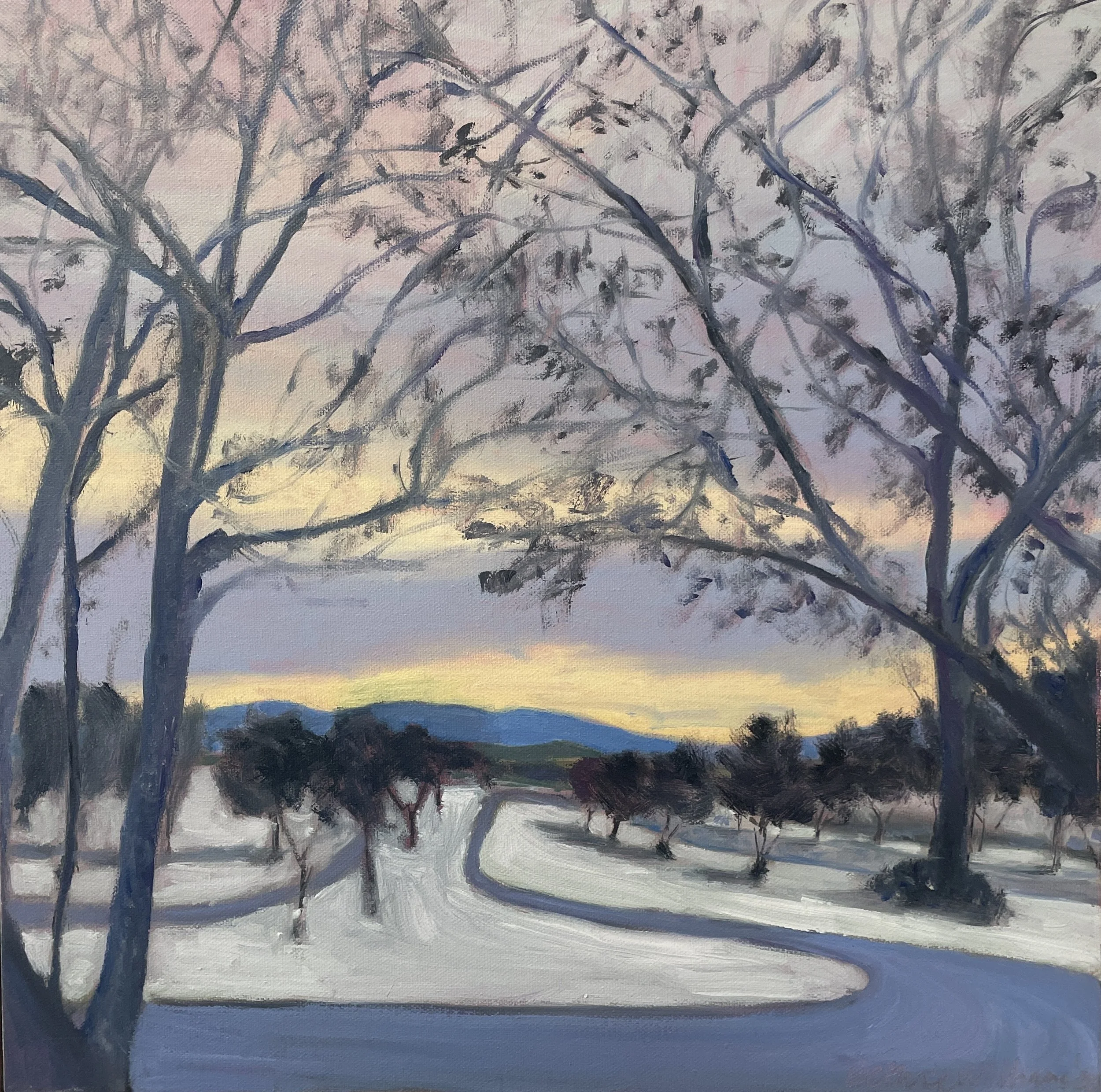 Frosty grass Yarra Glen 1